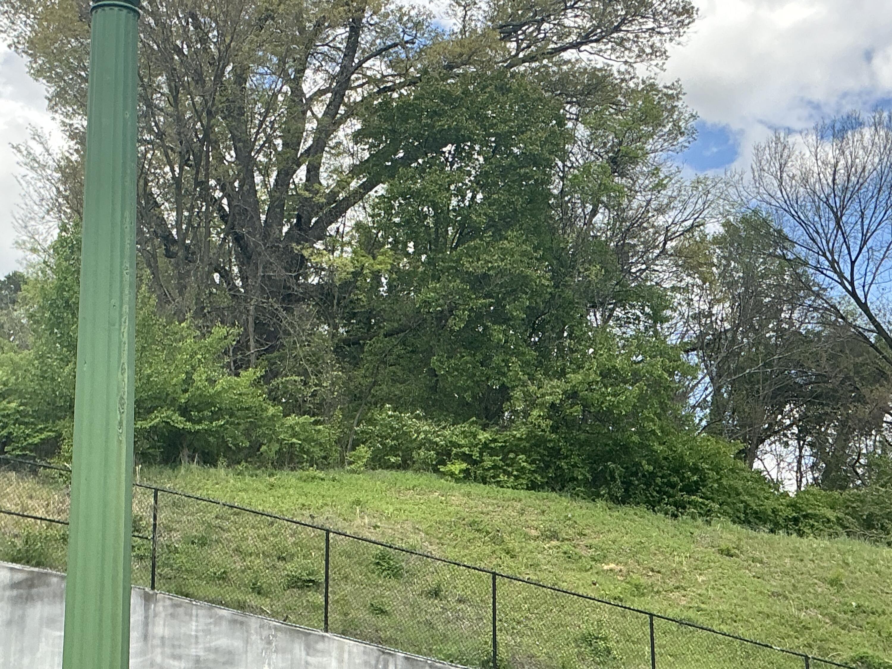 111 Morrison Springs Road