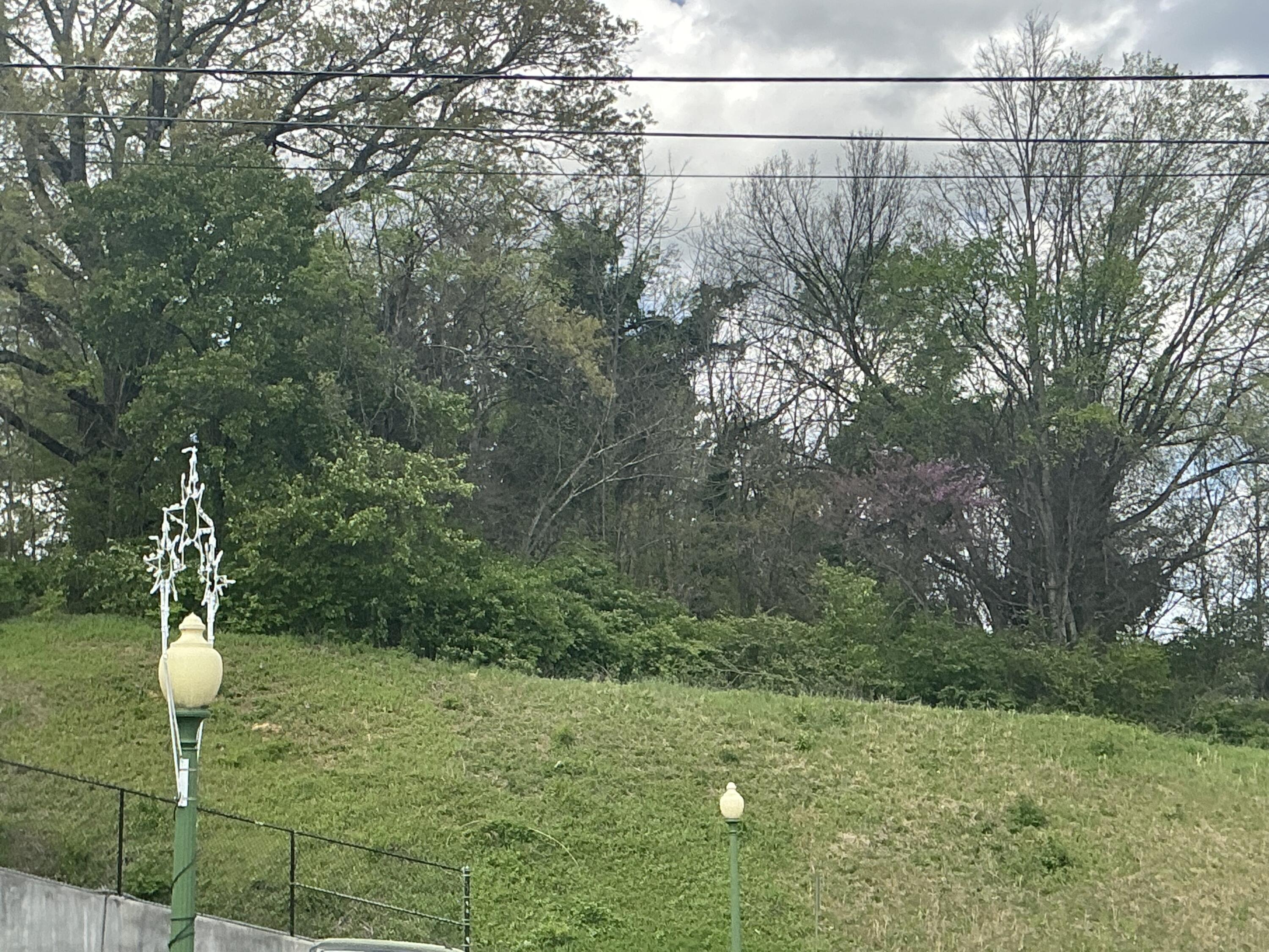 111 Morrison Springs Road