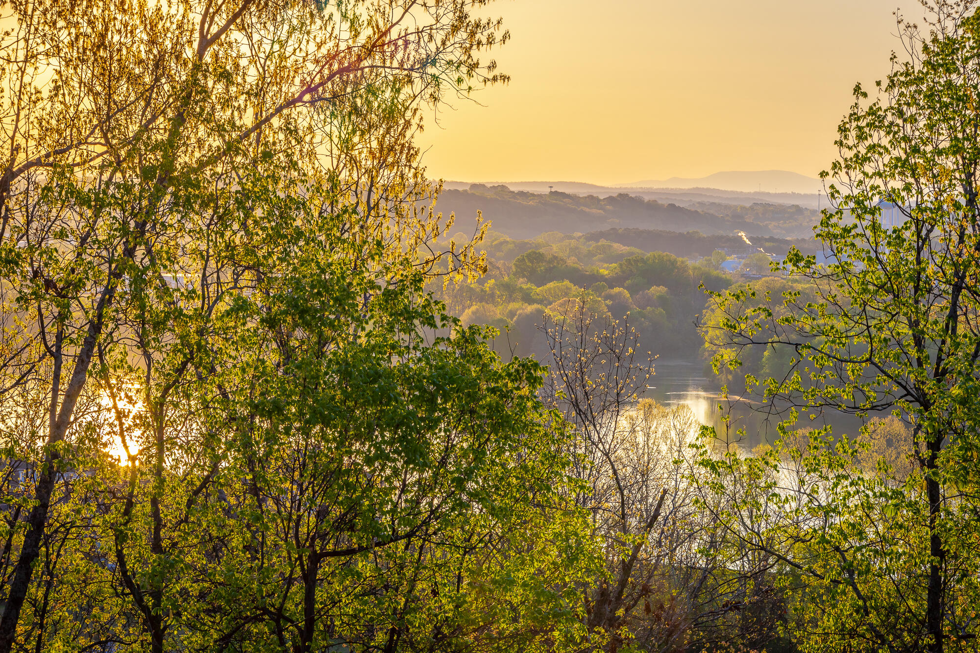 1111 Rivercrest Drive