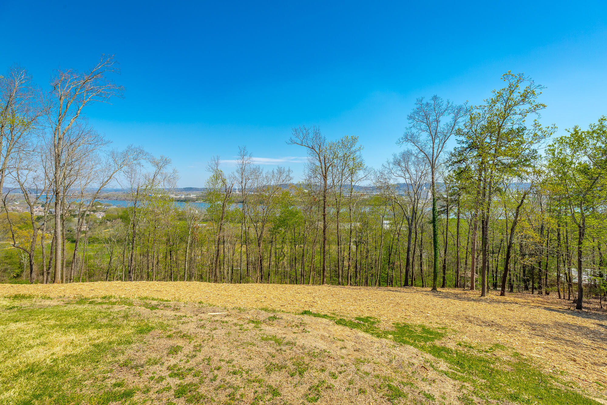 1111 Rivercrest Drive