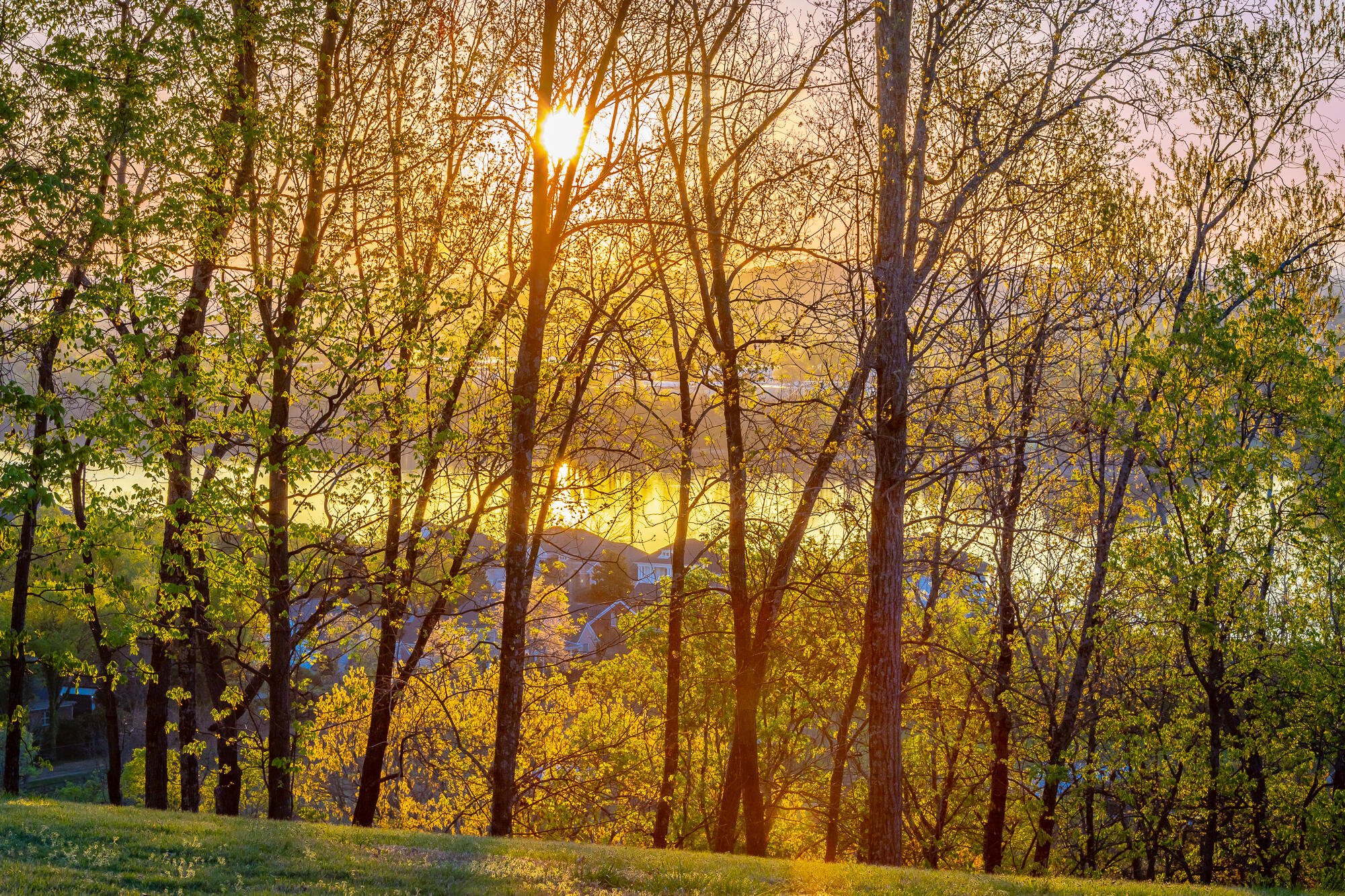 1111 Rivercrest Drive