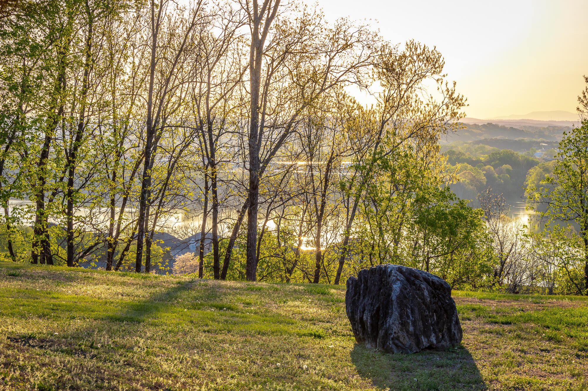 1111 Rivercrest Drive