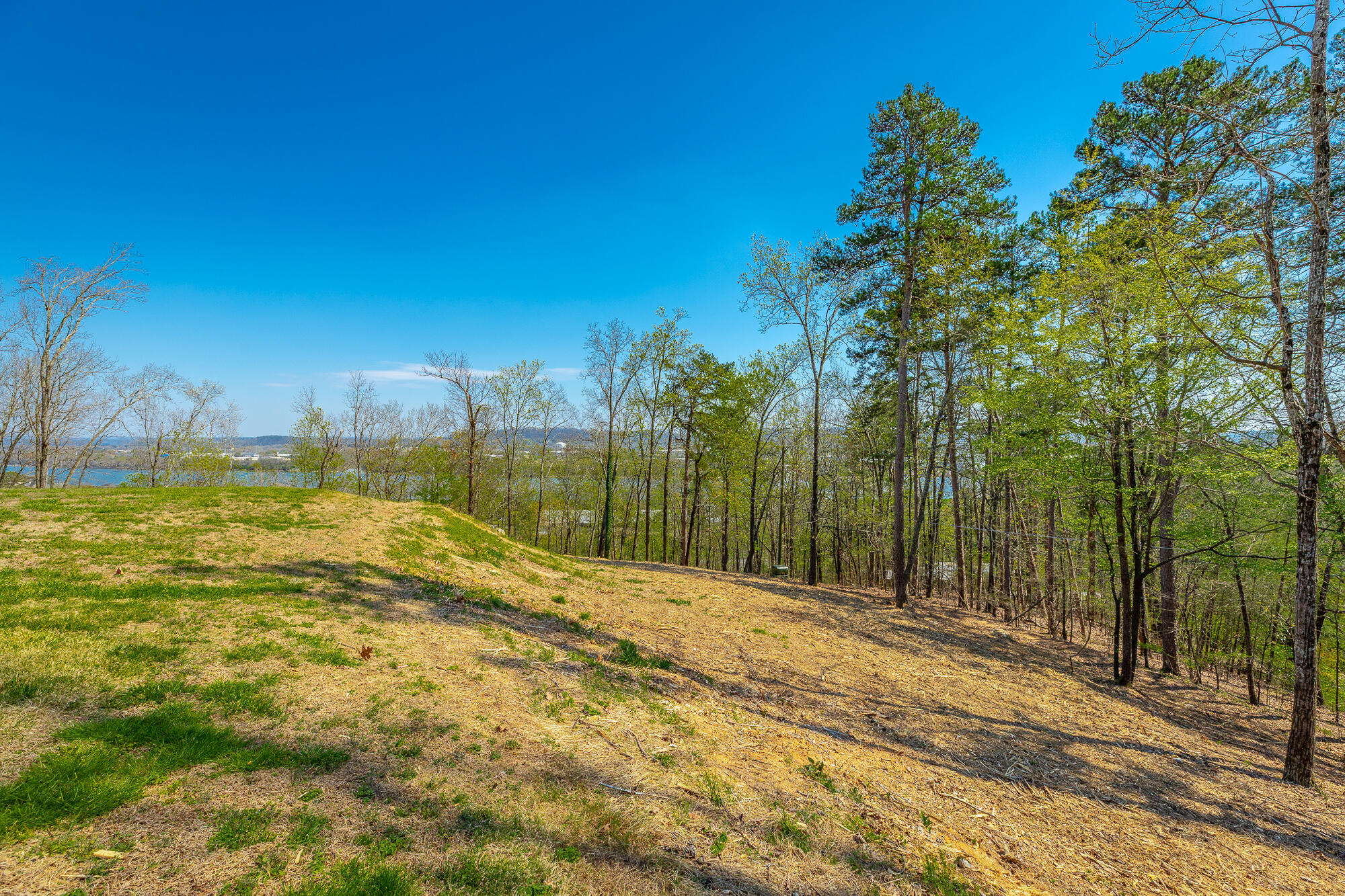 1111 Rivercrest Drive