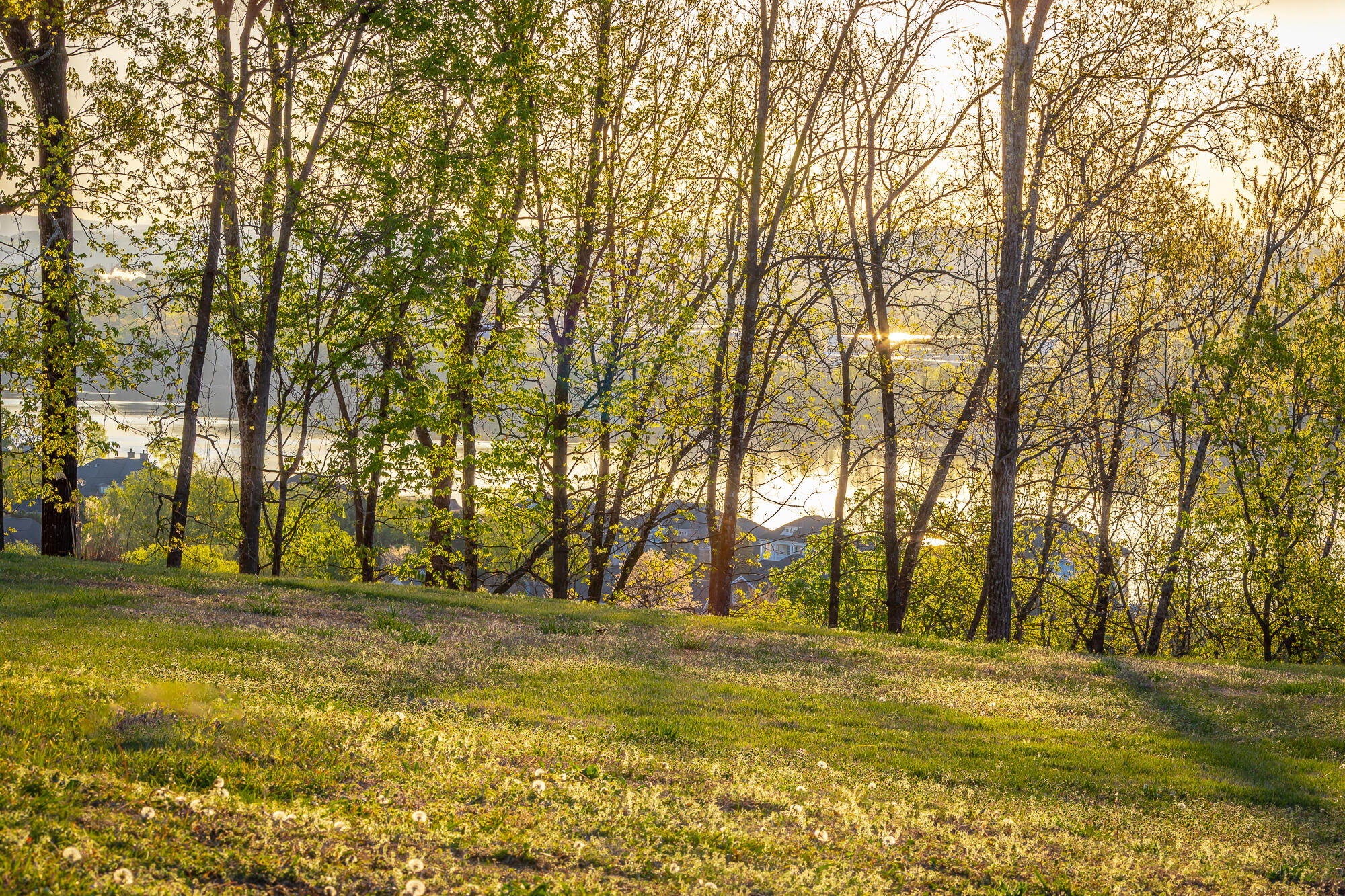 1111 Rivercrest Drive