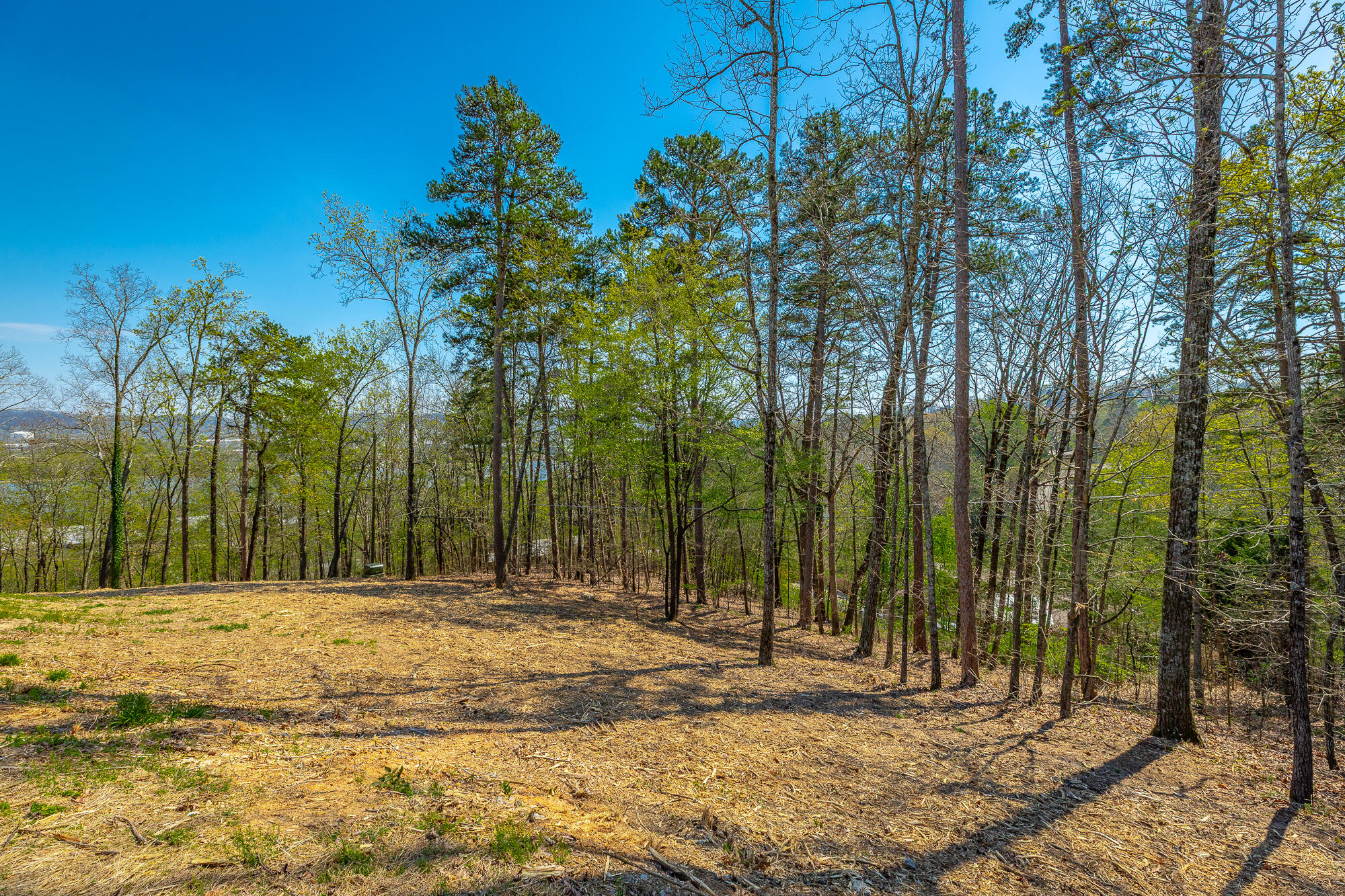 1111 Rivercrest Drive