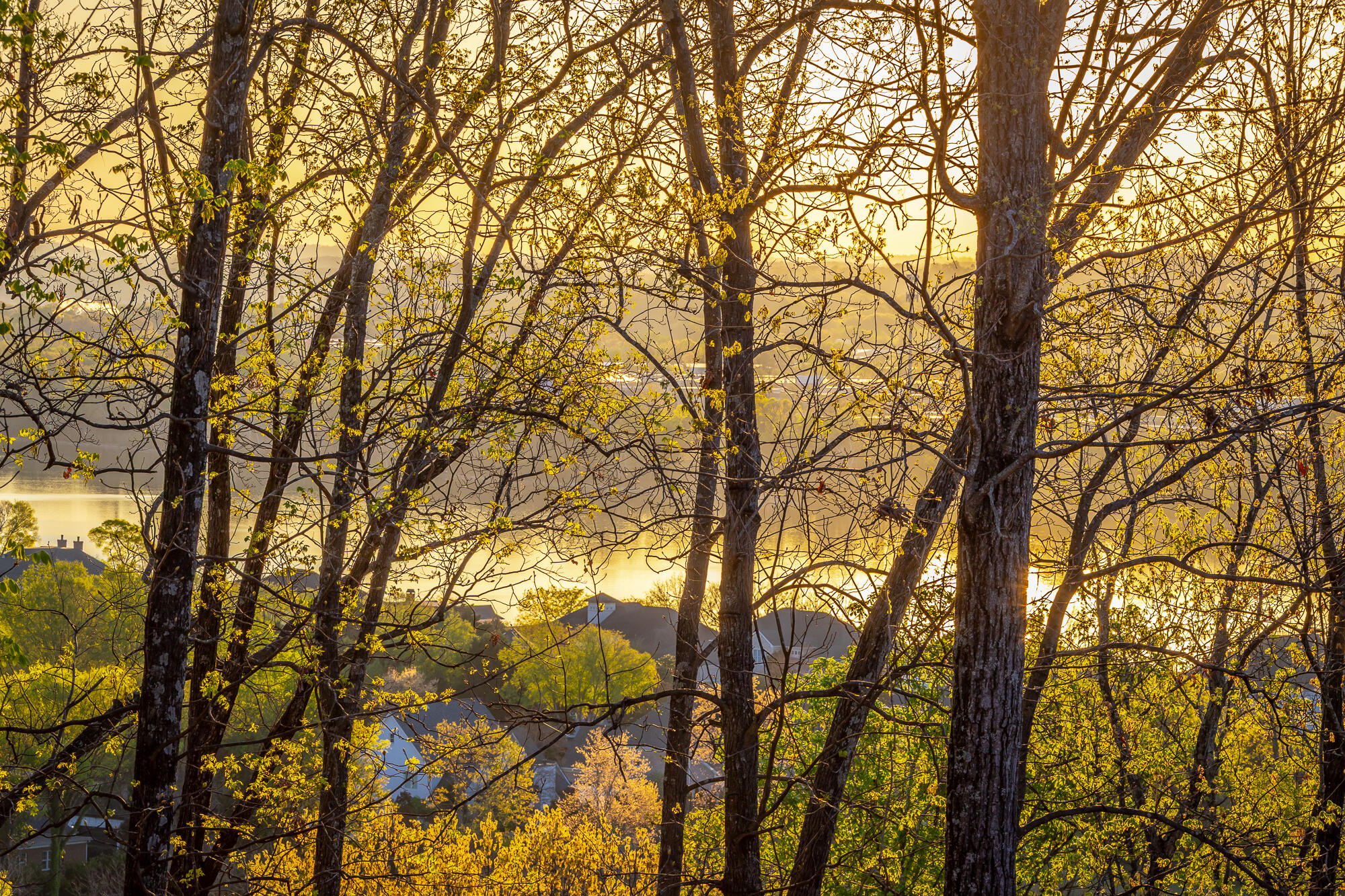 1111 Rivercrest Drive