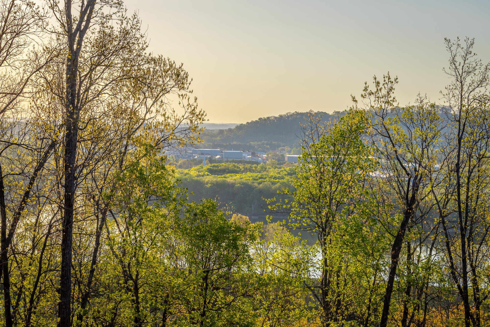 1111 Rivercrest Drive