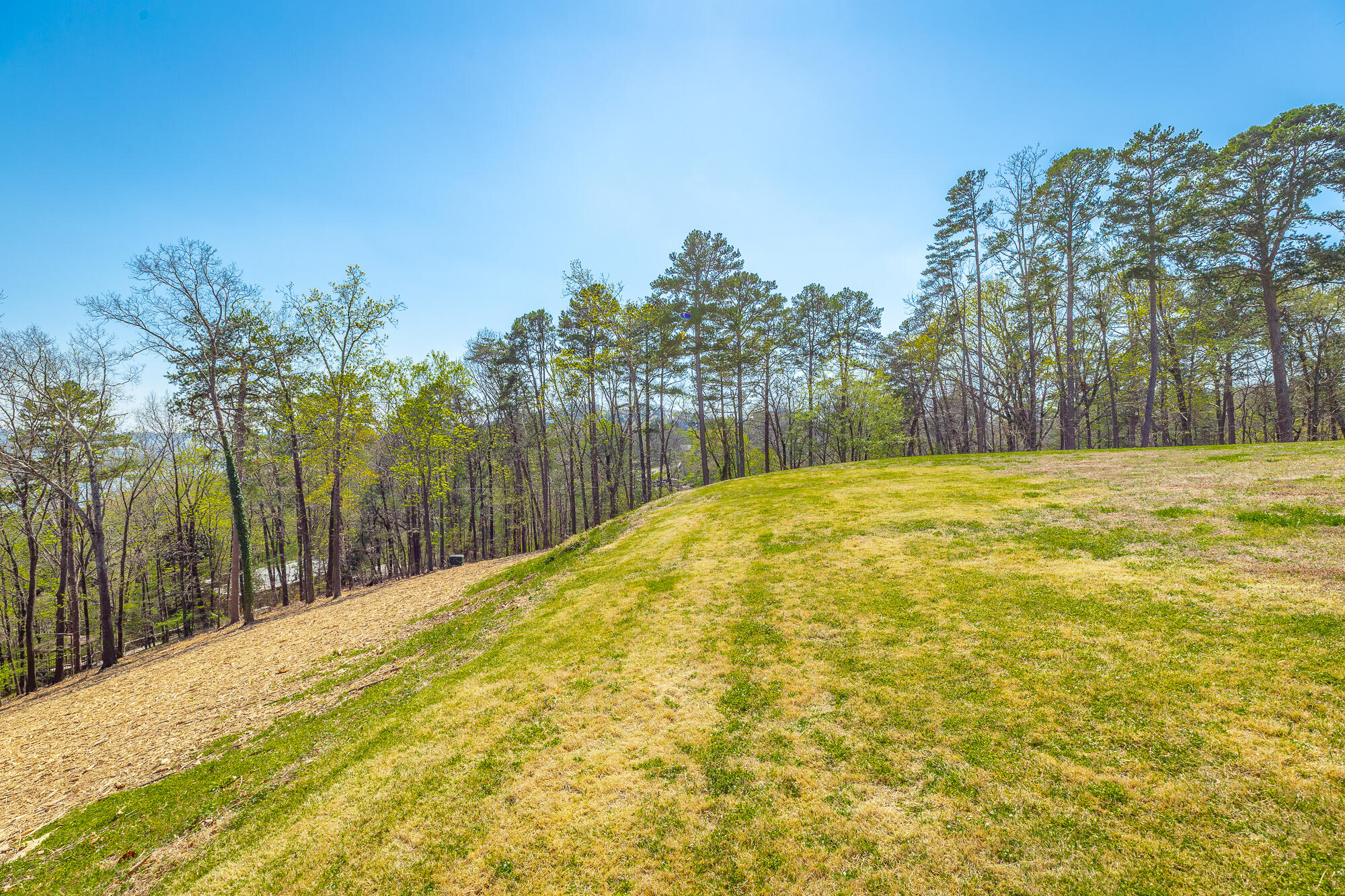 1111 Rivercrest Drive