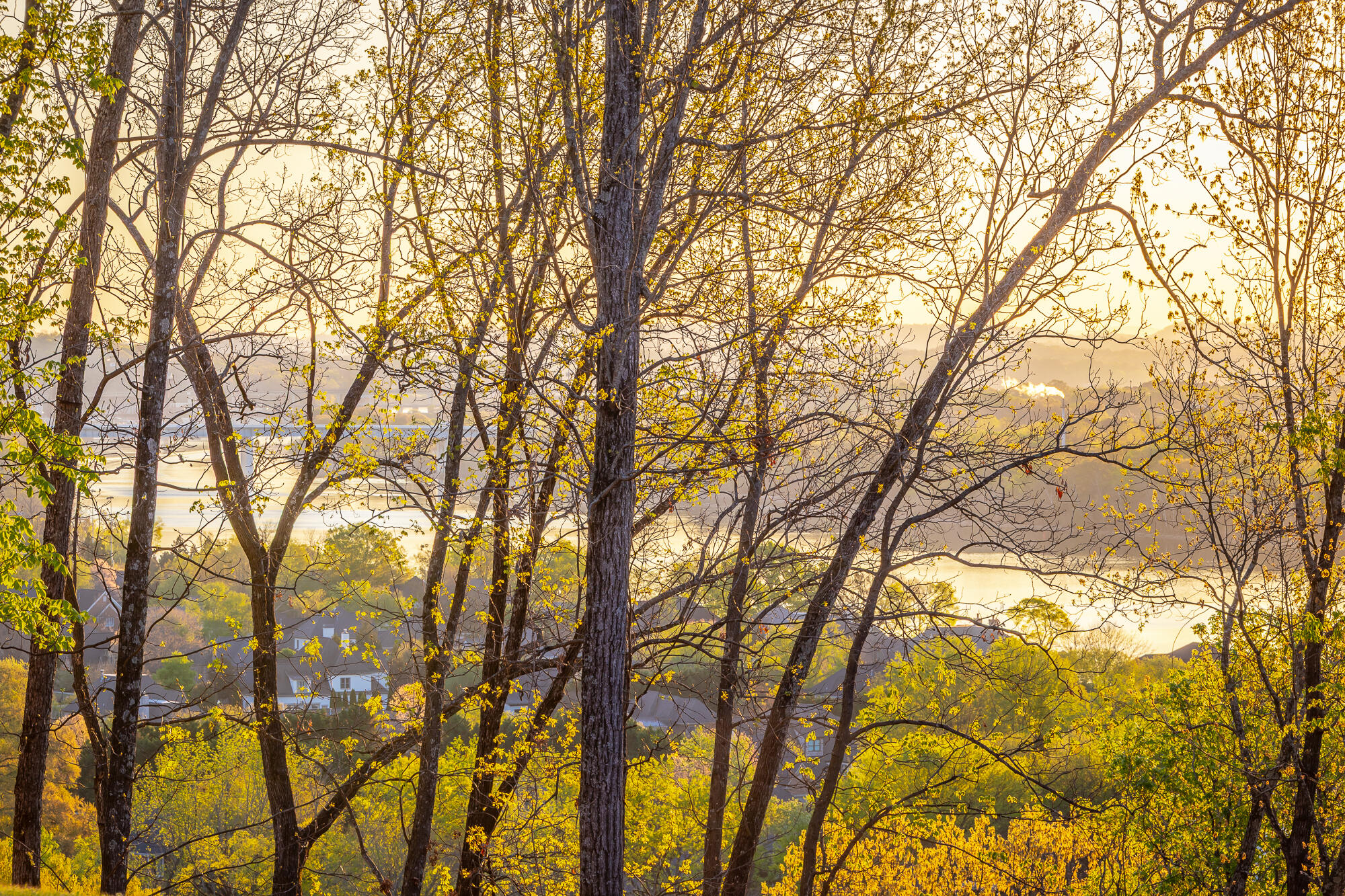 1111 Rivercrest Drive