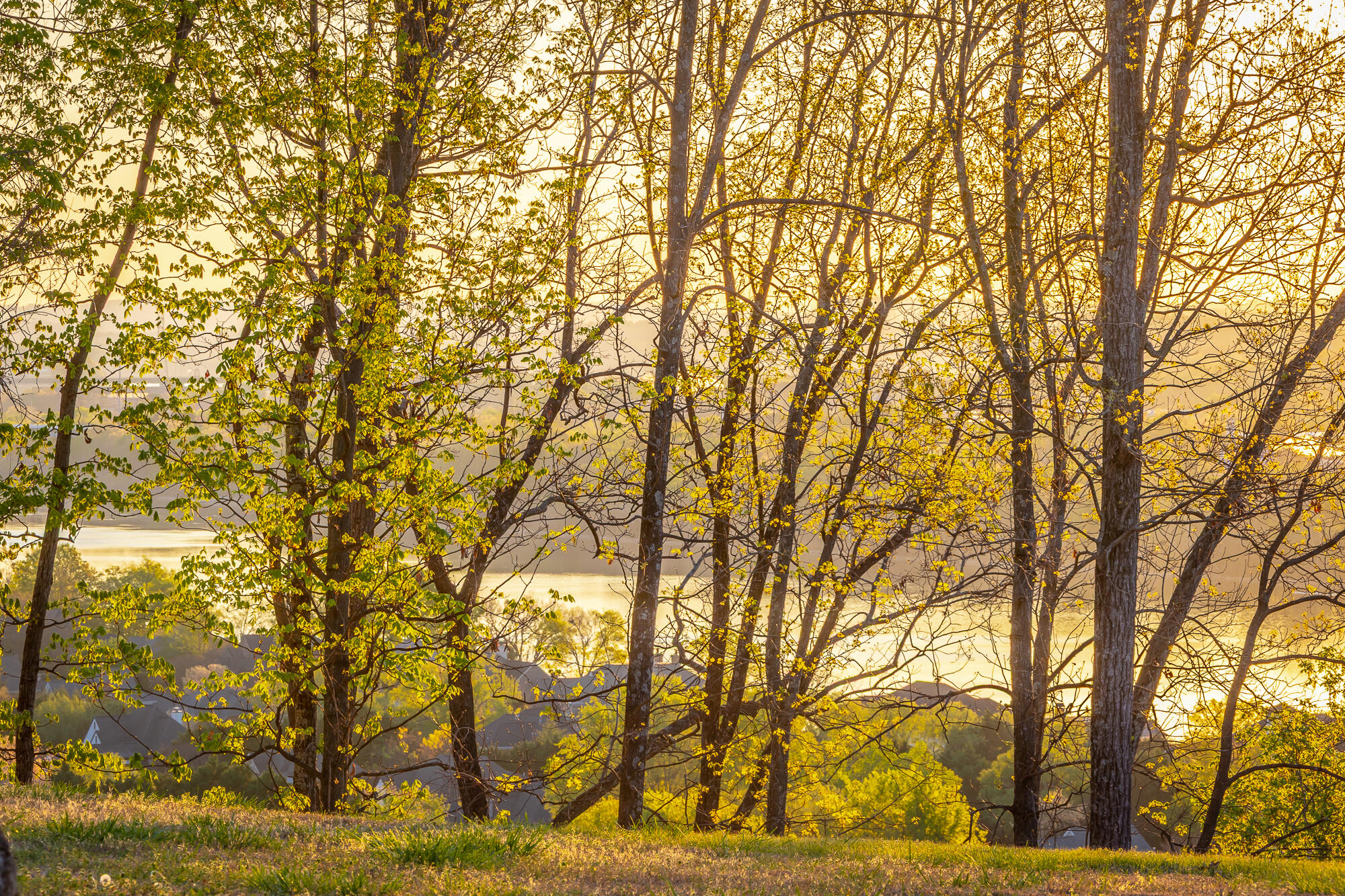 1111 Rivercrest Drive