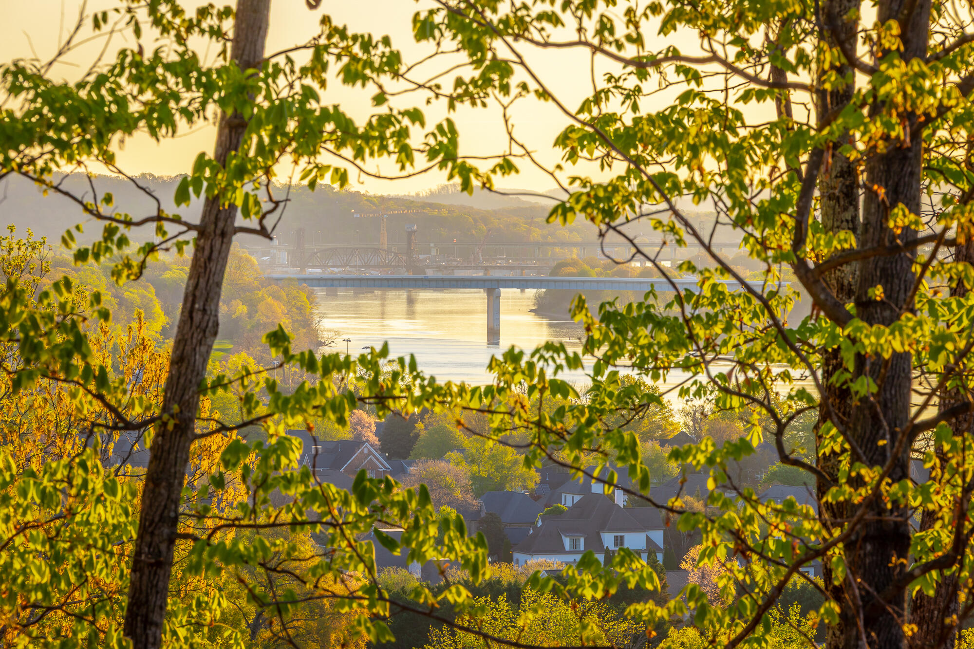 1111 Rivercrest Drive