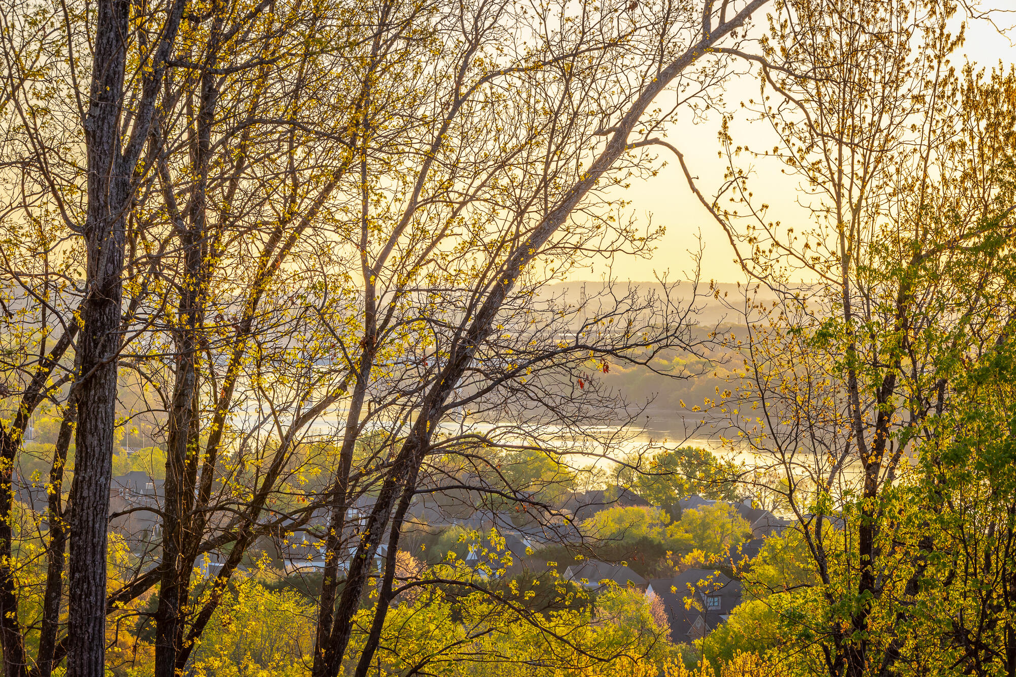 1111 Rivercrest Drive