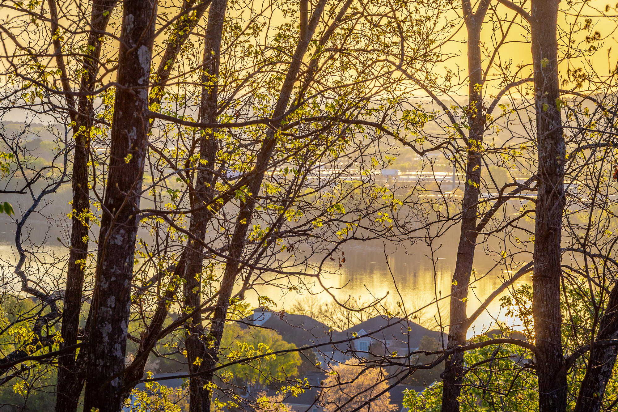 1111 Rivercrest Drive