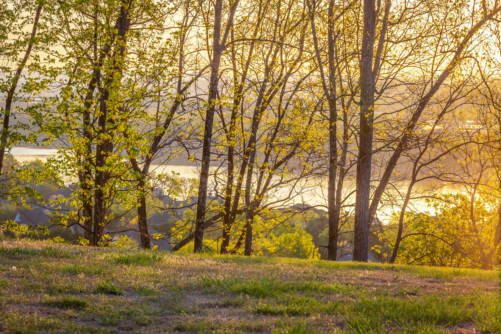 1111 Rivercrest Drive