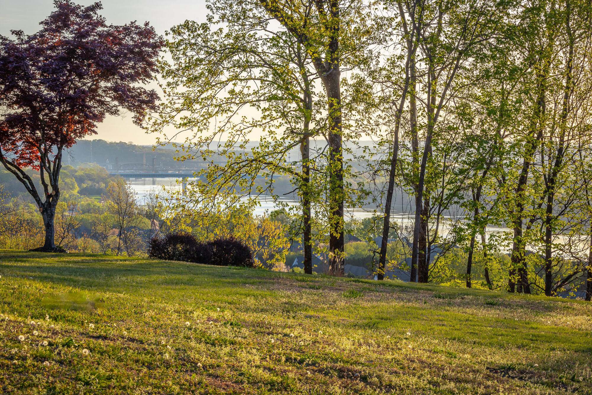 1111 Rivercrest Drive