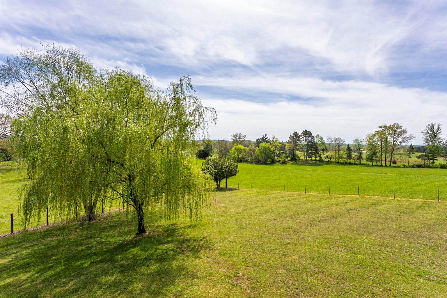 410 Pioneer Trail