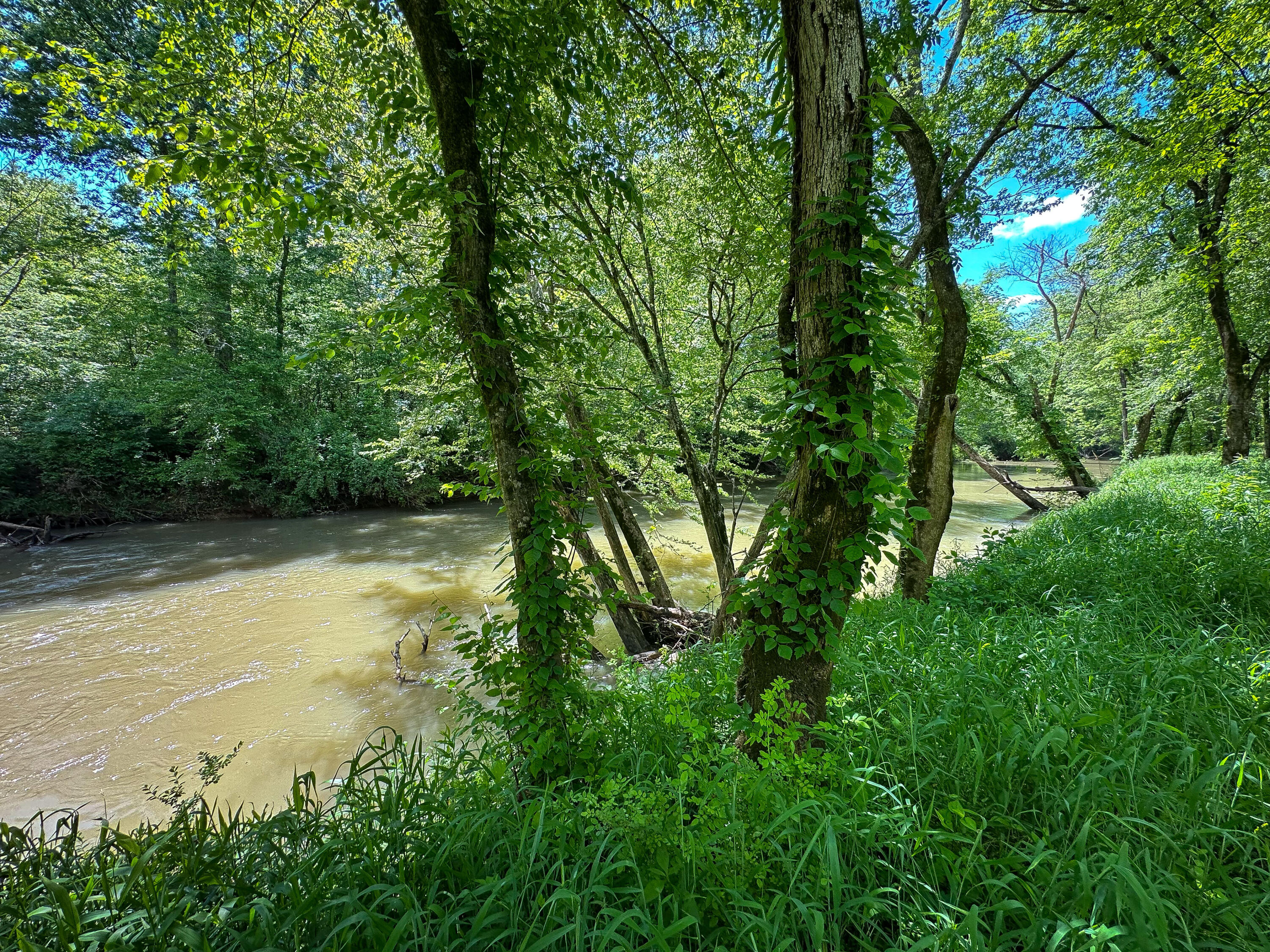 0 Dry Branch Way