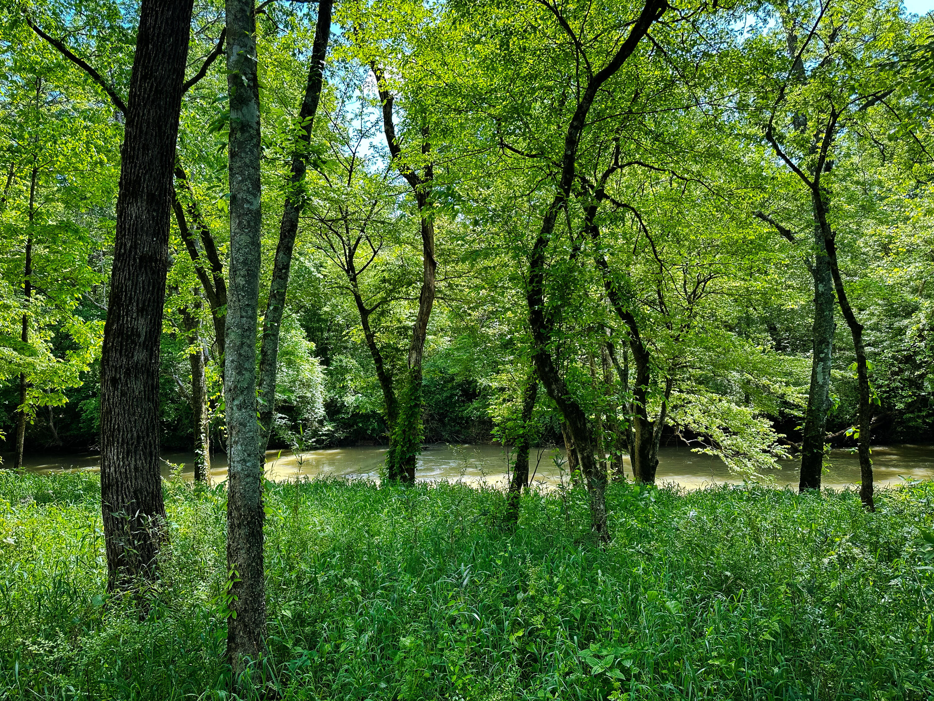 0 Dry Branch Way