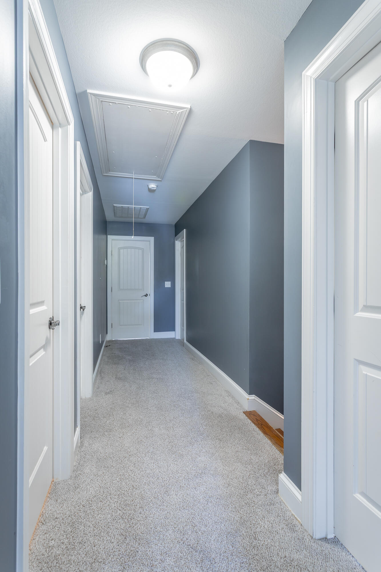 7364 Red Poppy Drive