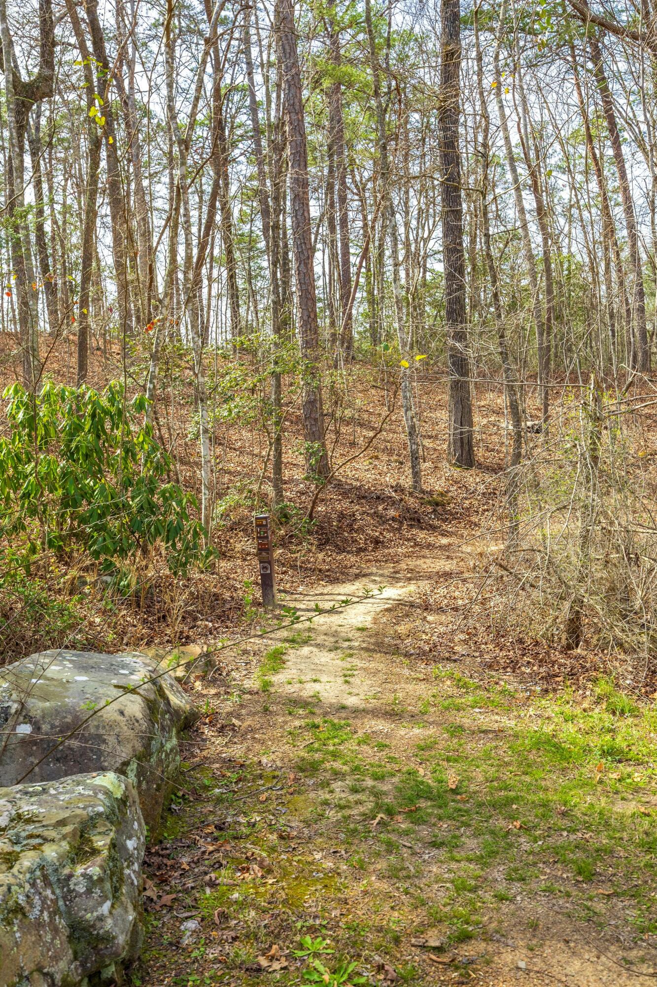 756 Long Branch Road