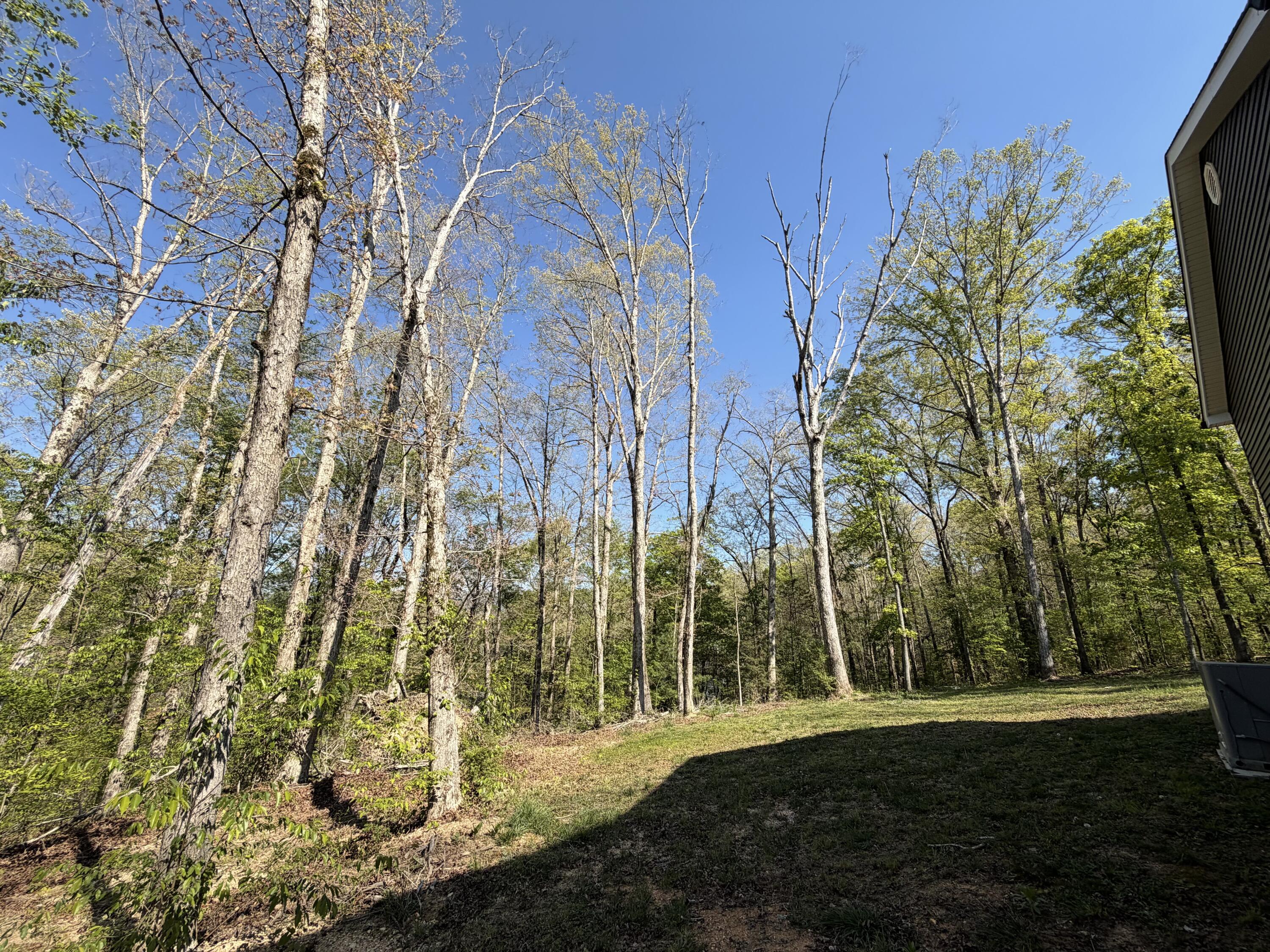 67 Shady Oaks Cove