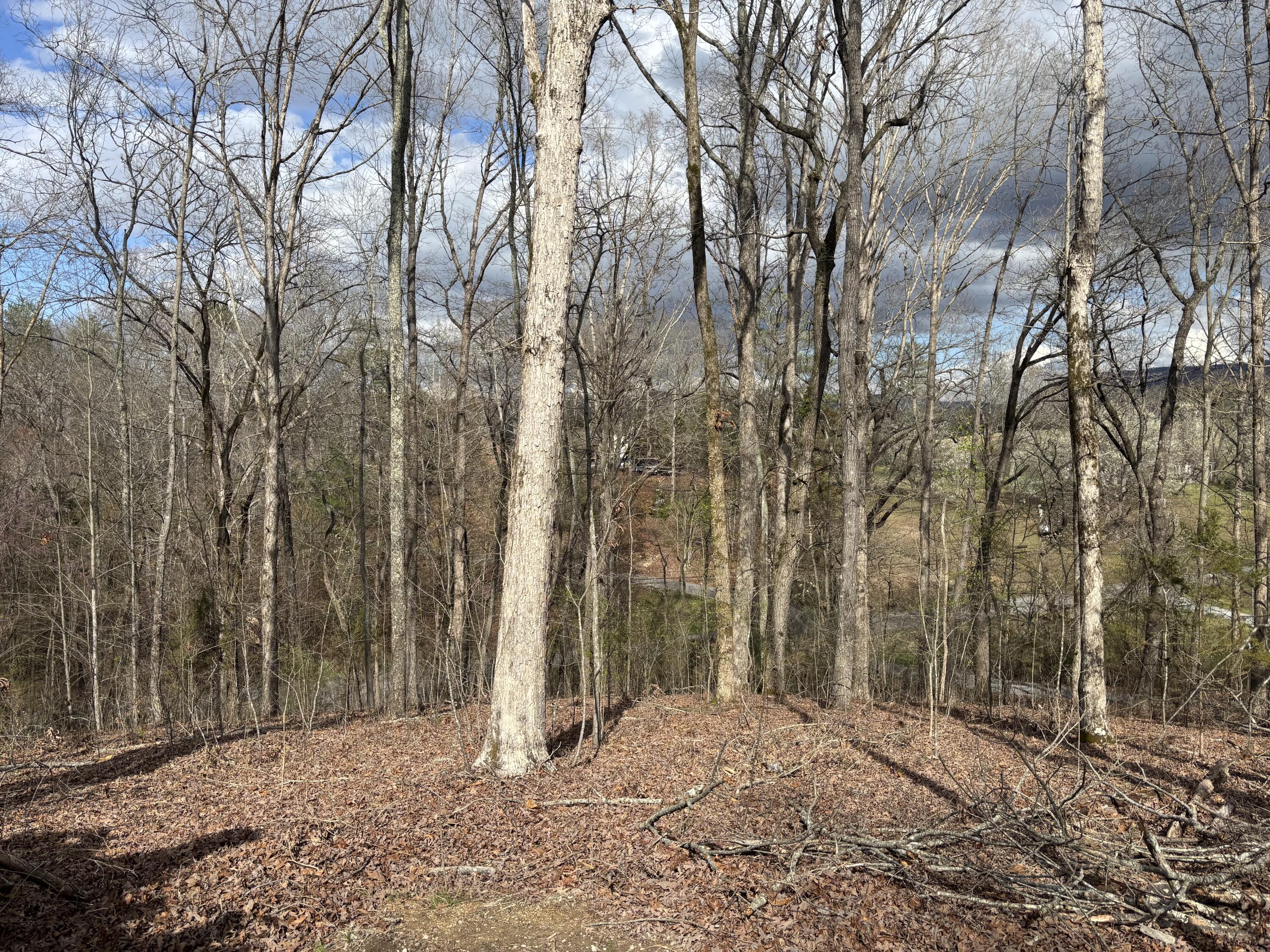 67 Shady Oaks Cove
