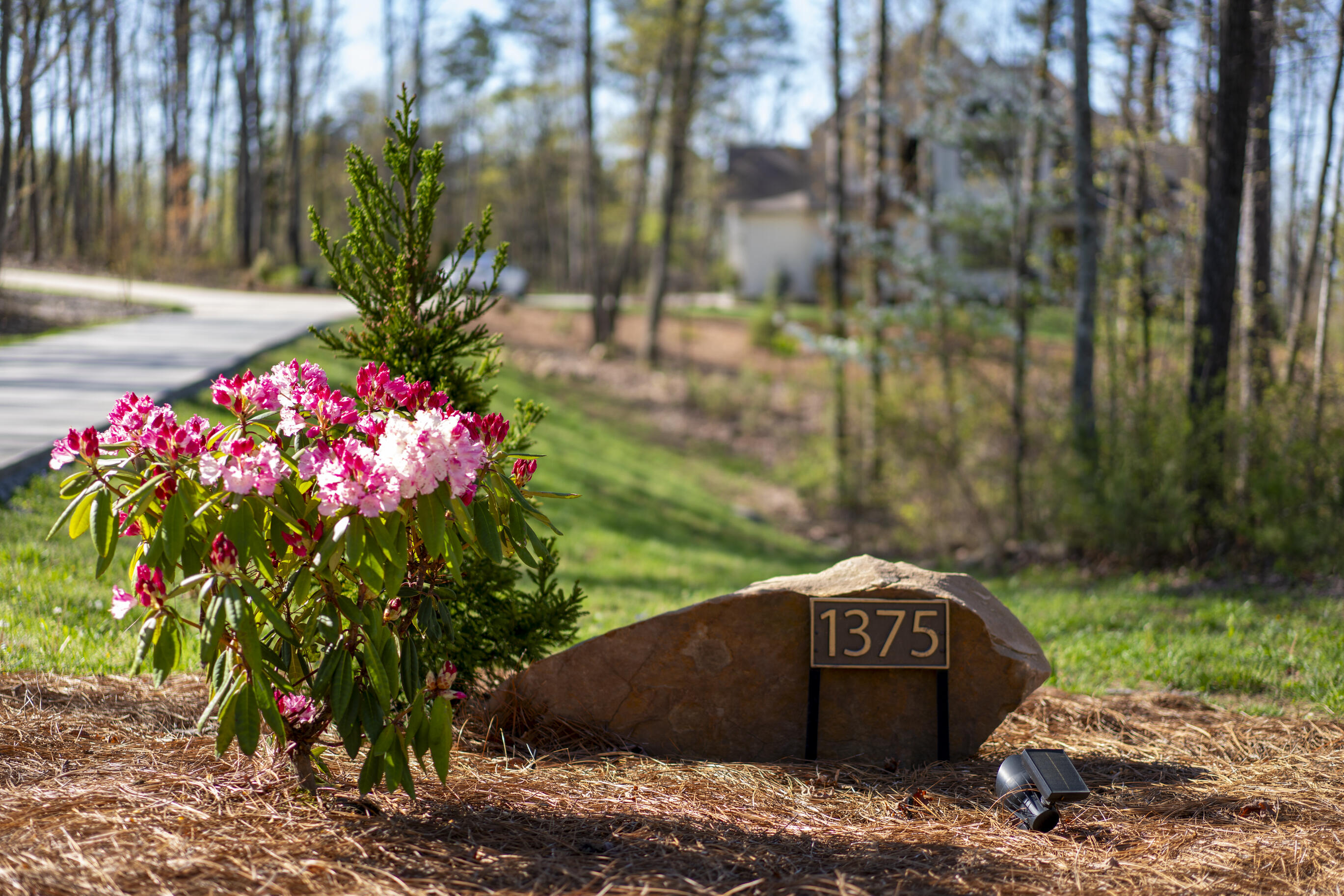 1375 Wintergreen Lane
