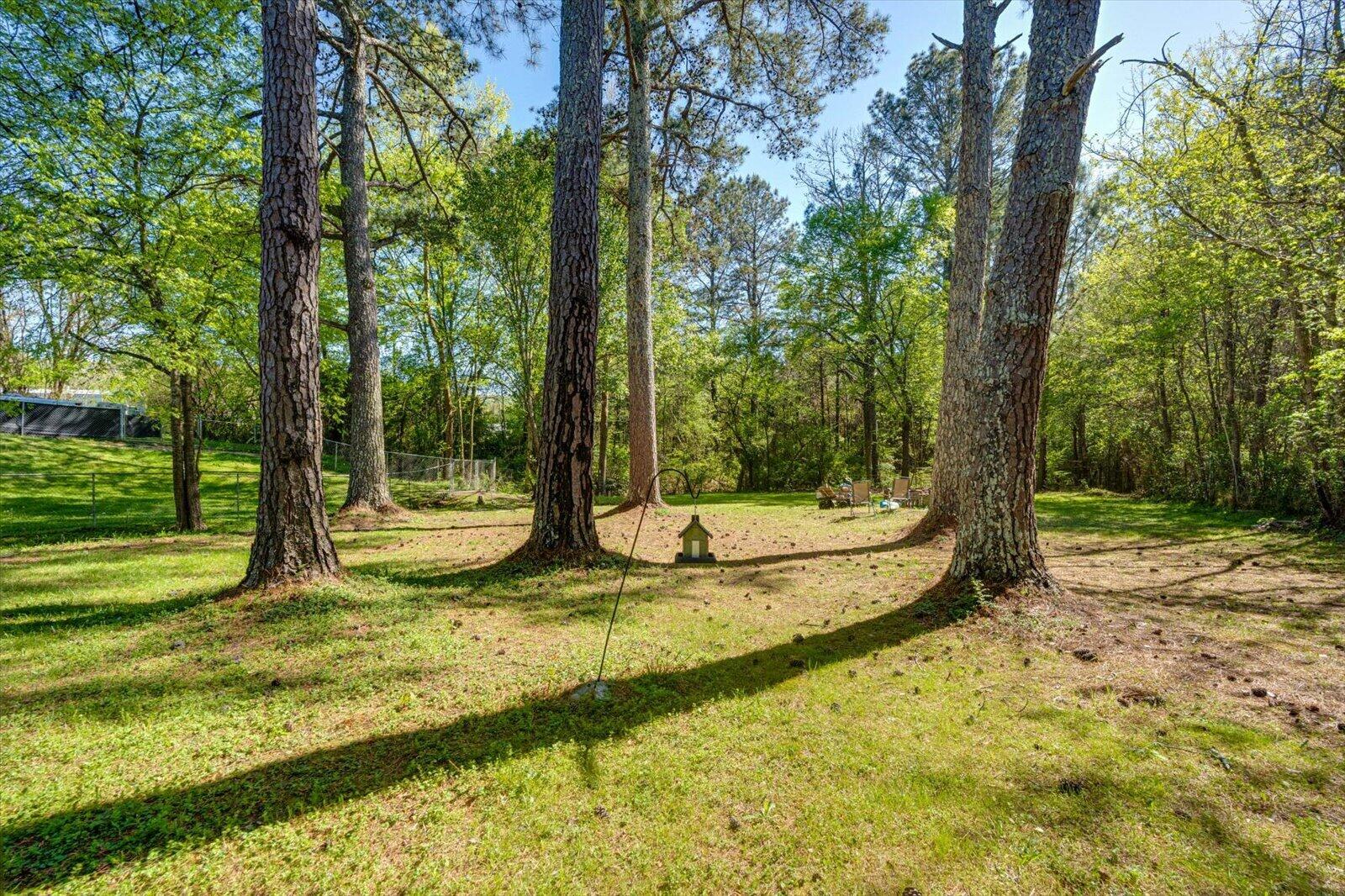 5810 Highway 151, LaFayette