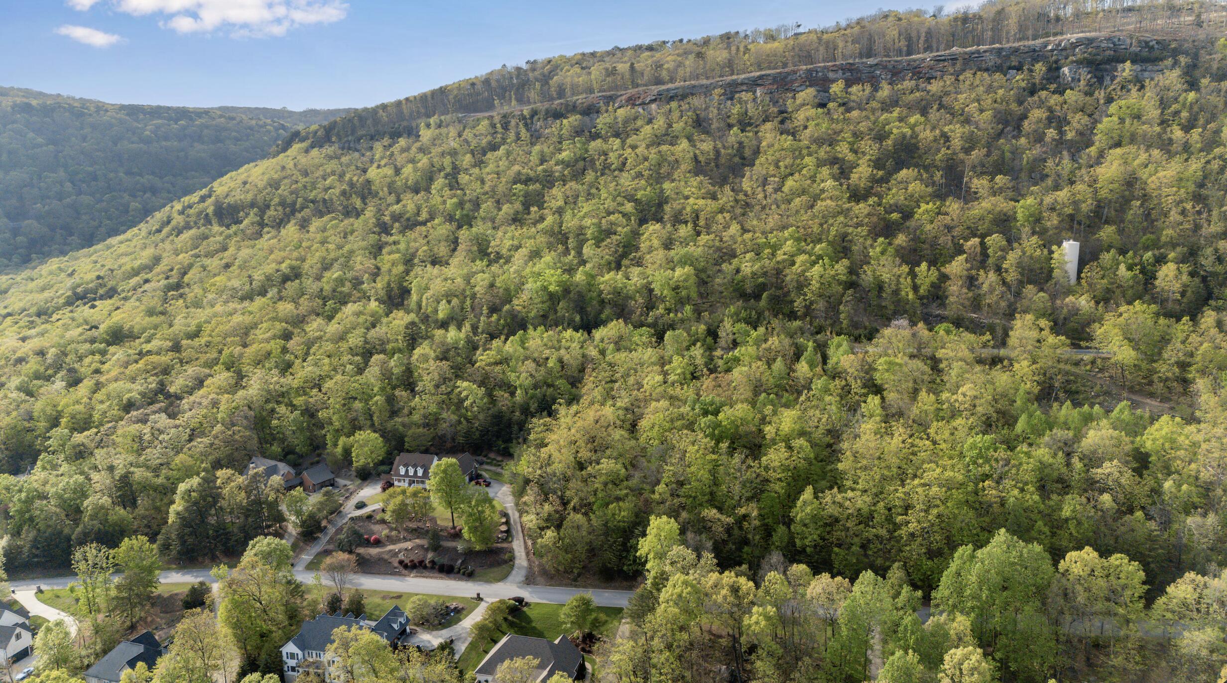 0 Bluff Ledge Drive, Lot 79