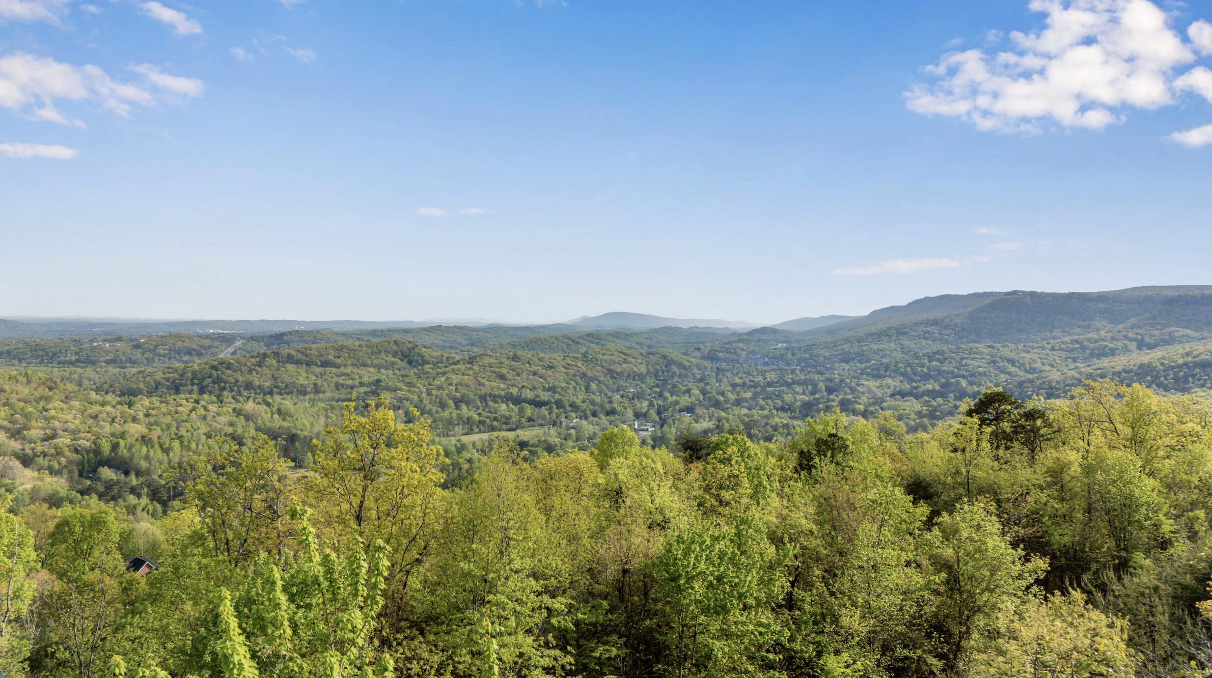 0 Bluff Ledge Drive, Lot 79