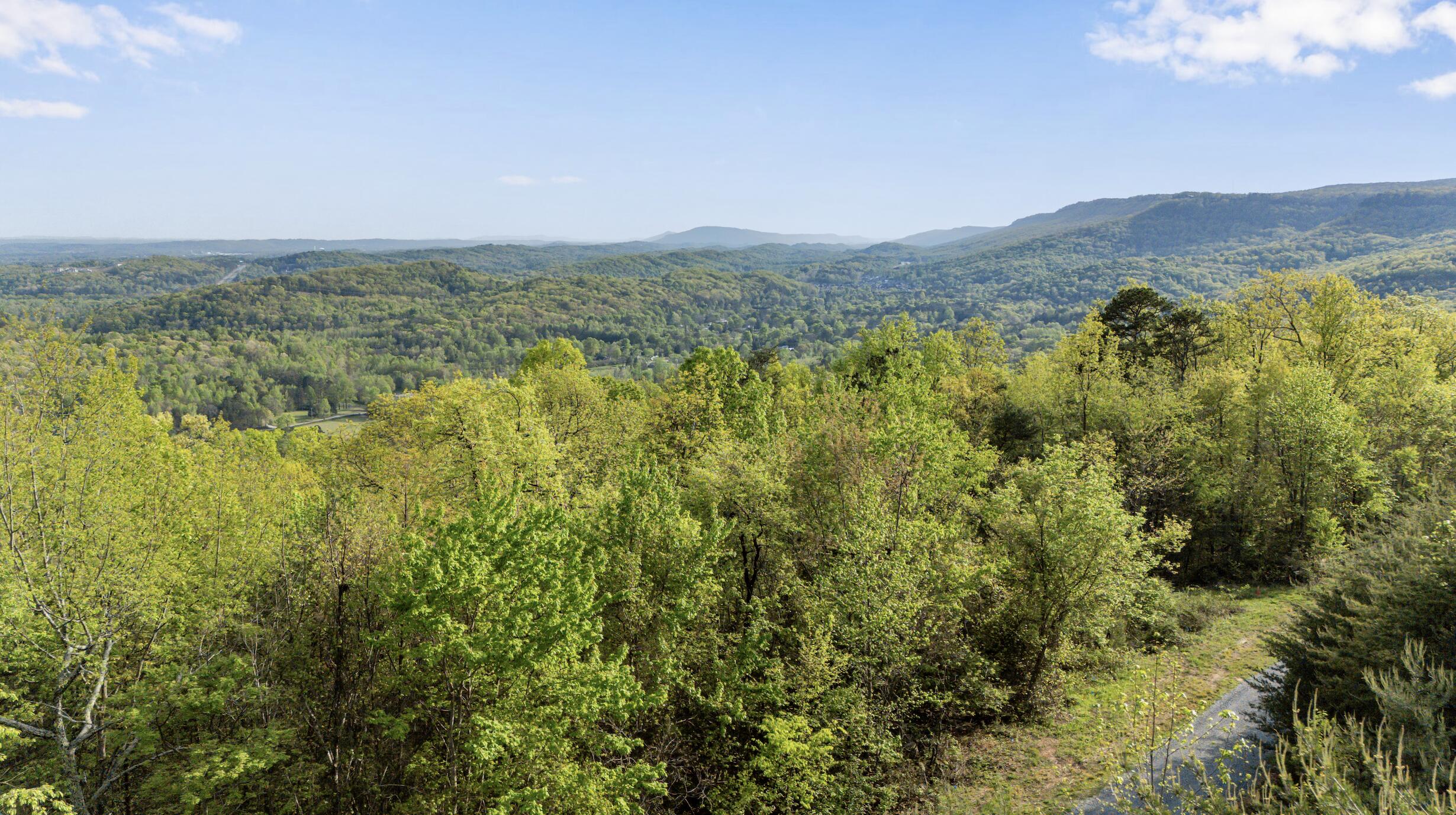 0 Bluff Ledge Drive, Lot 79