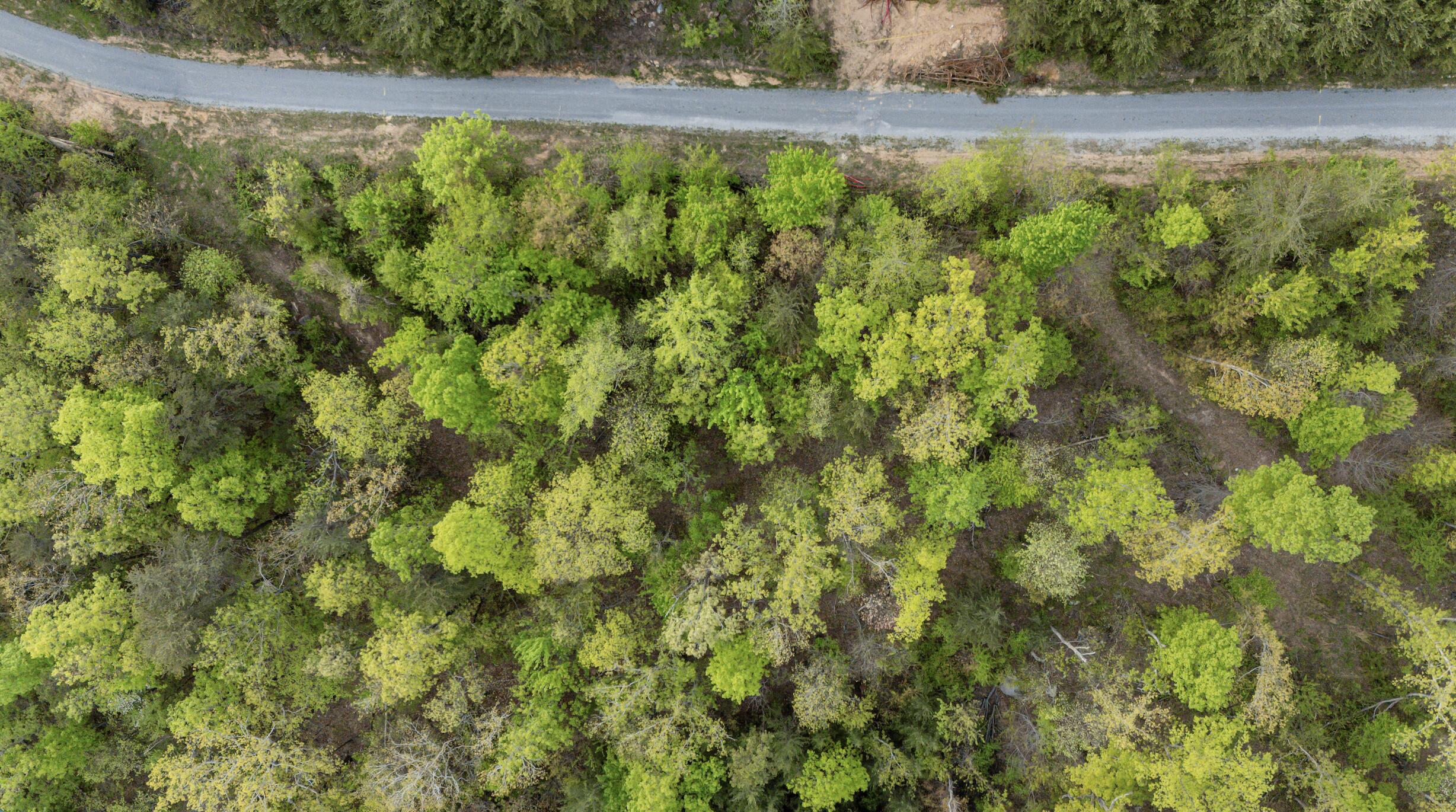 0 Bluff Ledge Drive, Lot 79