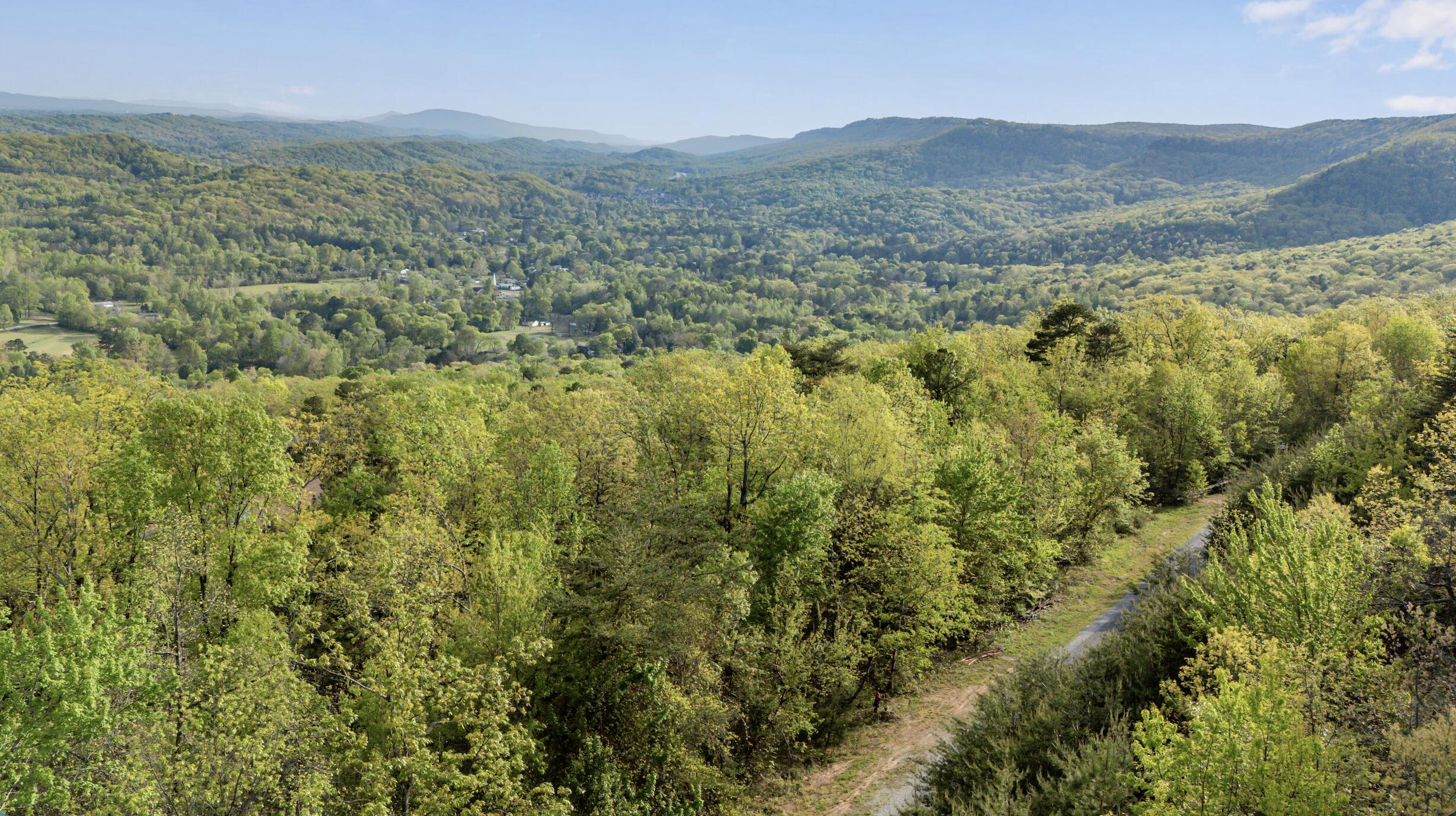 0 Bluff Ledge Drive, Lot 79