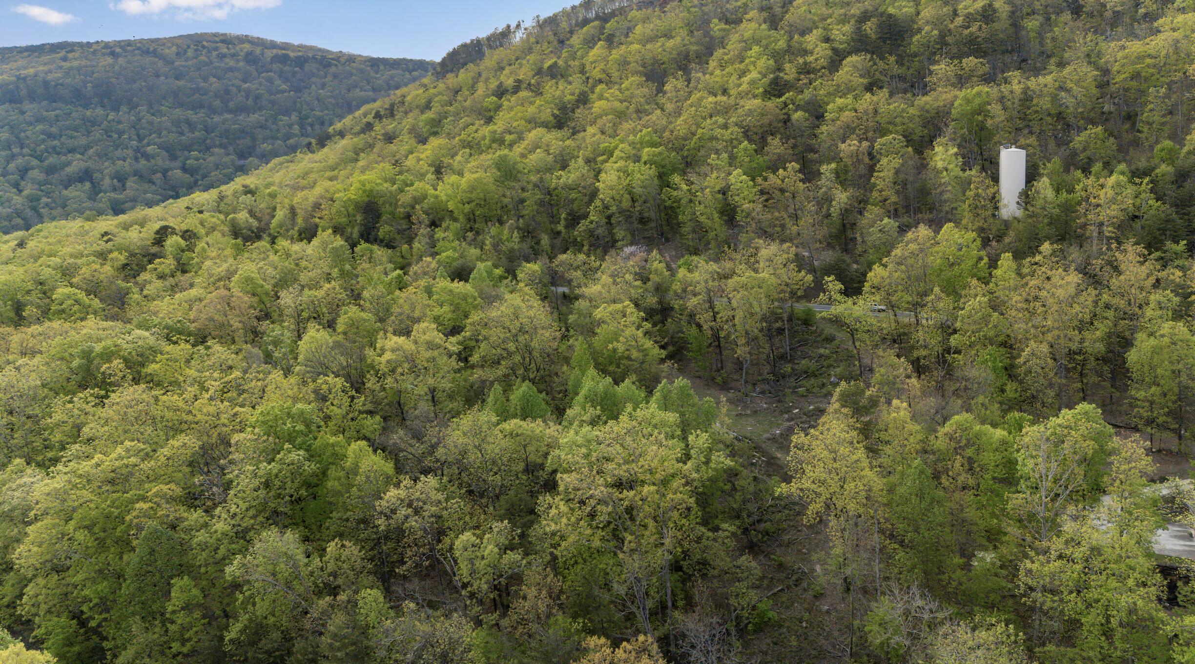 0 Bluff Ledge Trail, Lot 80