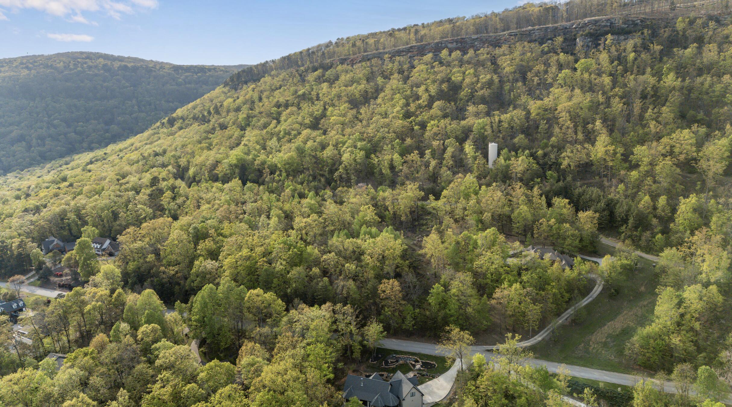 0 Bluff Ledge Trail, Lot 80