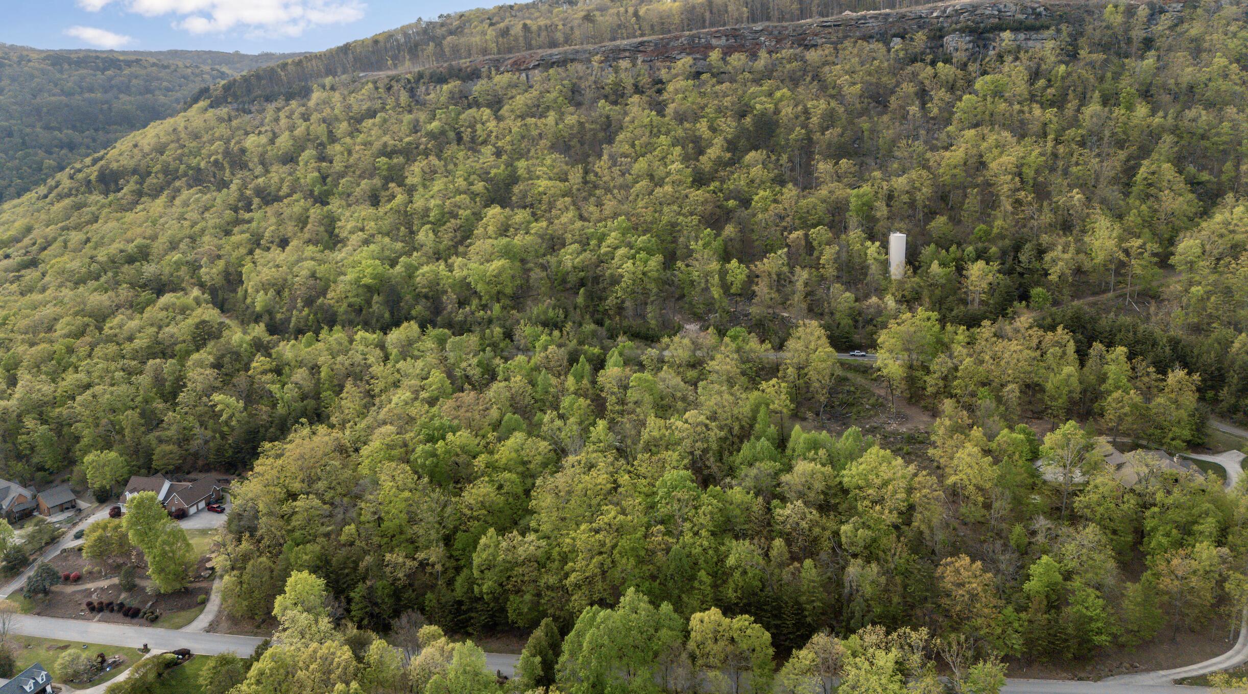 0 Bluff Ledge Trail, Lot 80