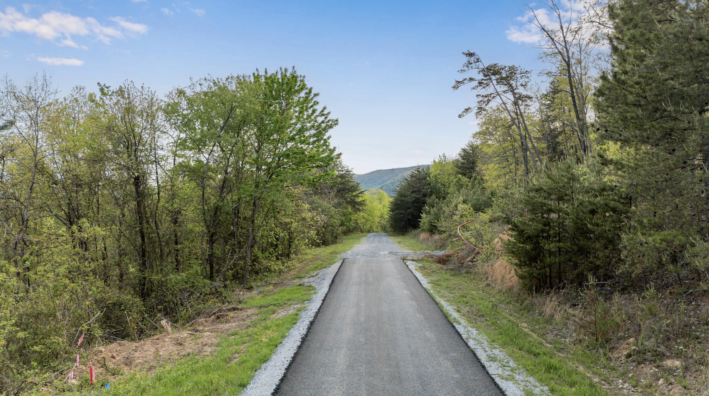 0 Bluff Ledge Trail, Lot 80