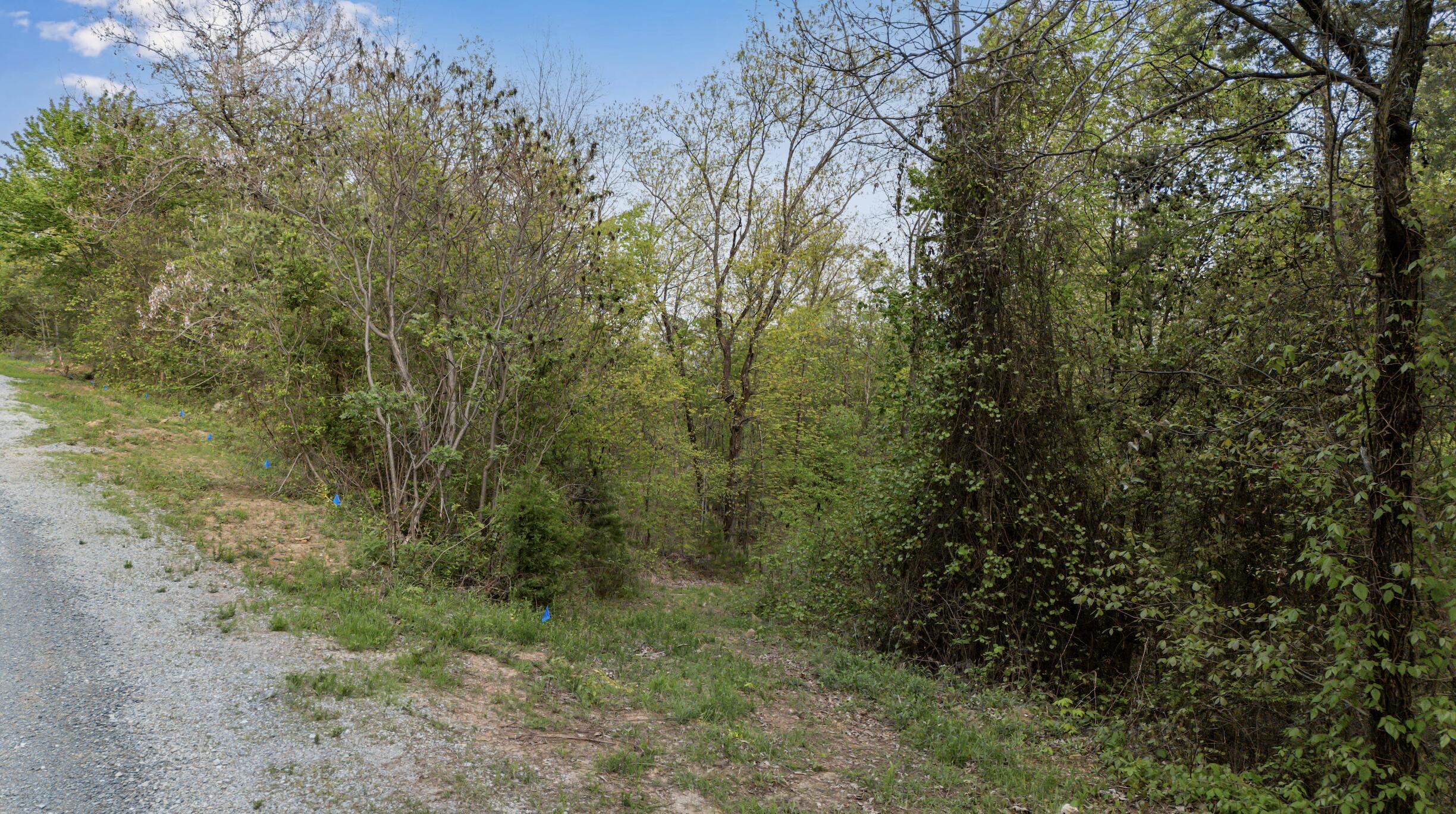 0 Bluff Ledge Trail, Lot 80