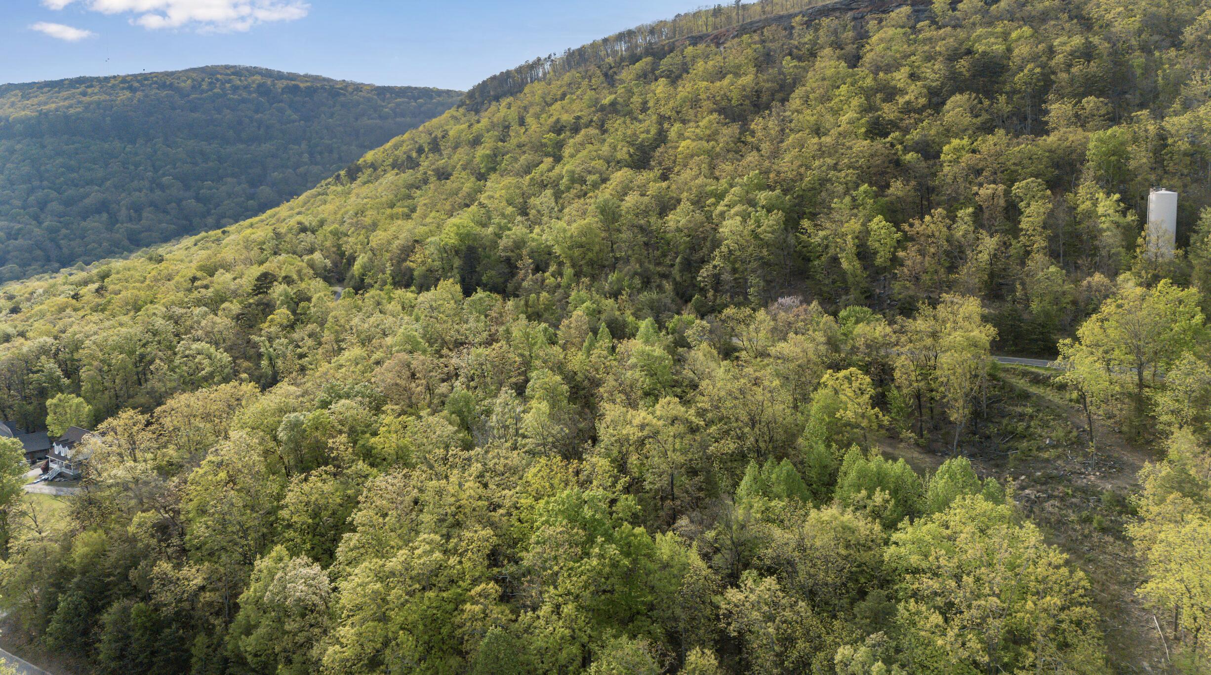 0 Bluff Ledge Trail, Lot 80