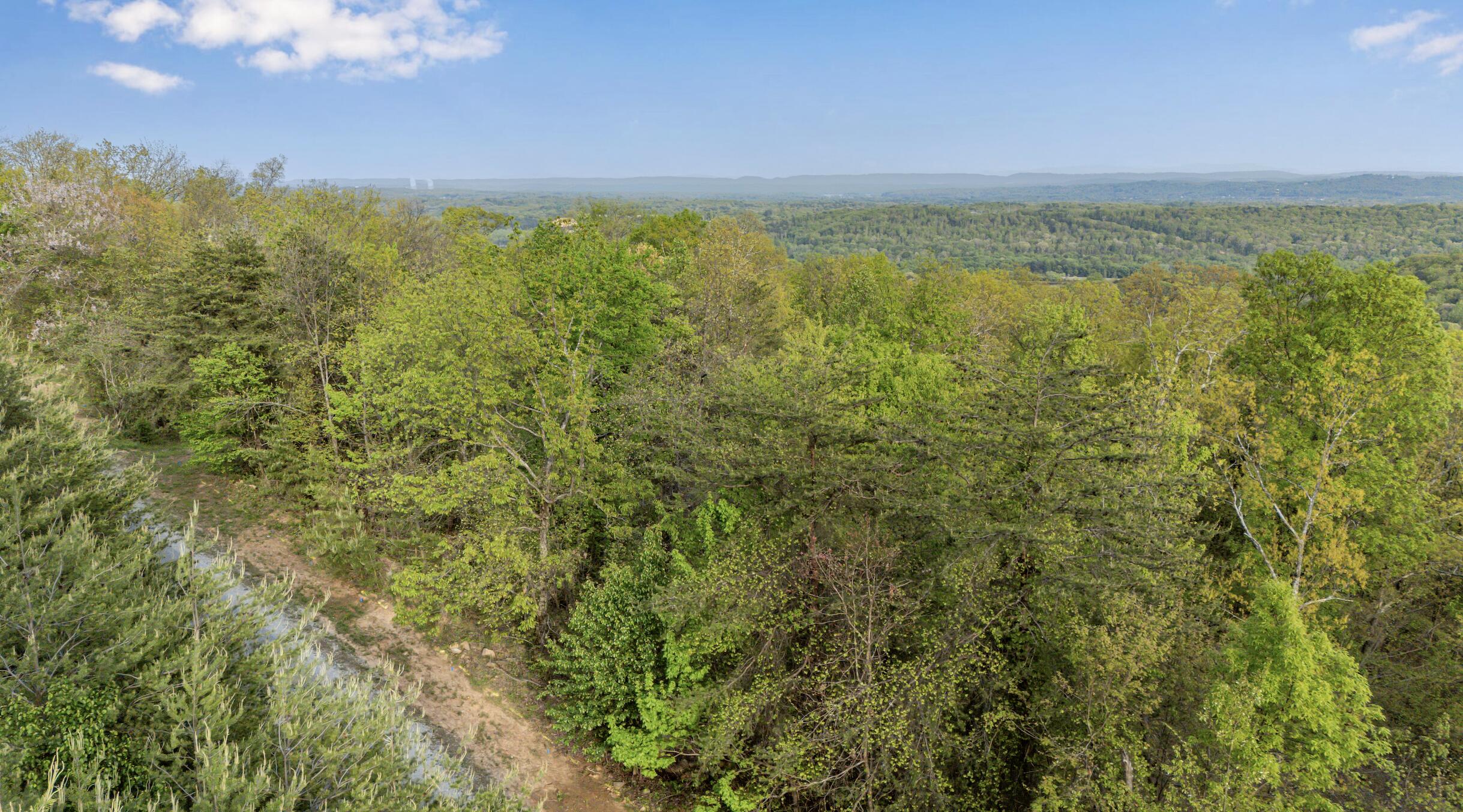 0 Bluff Ledge Trail, Lot 80