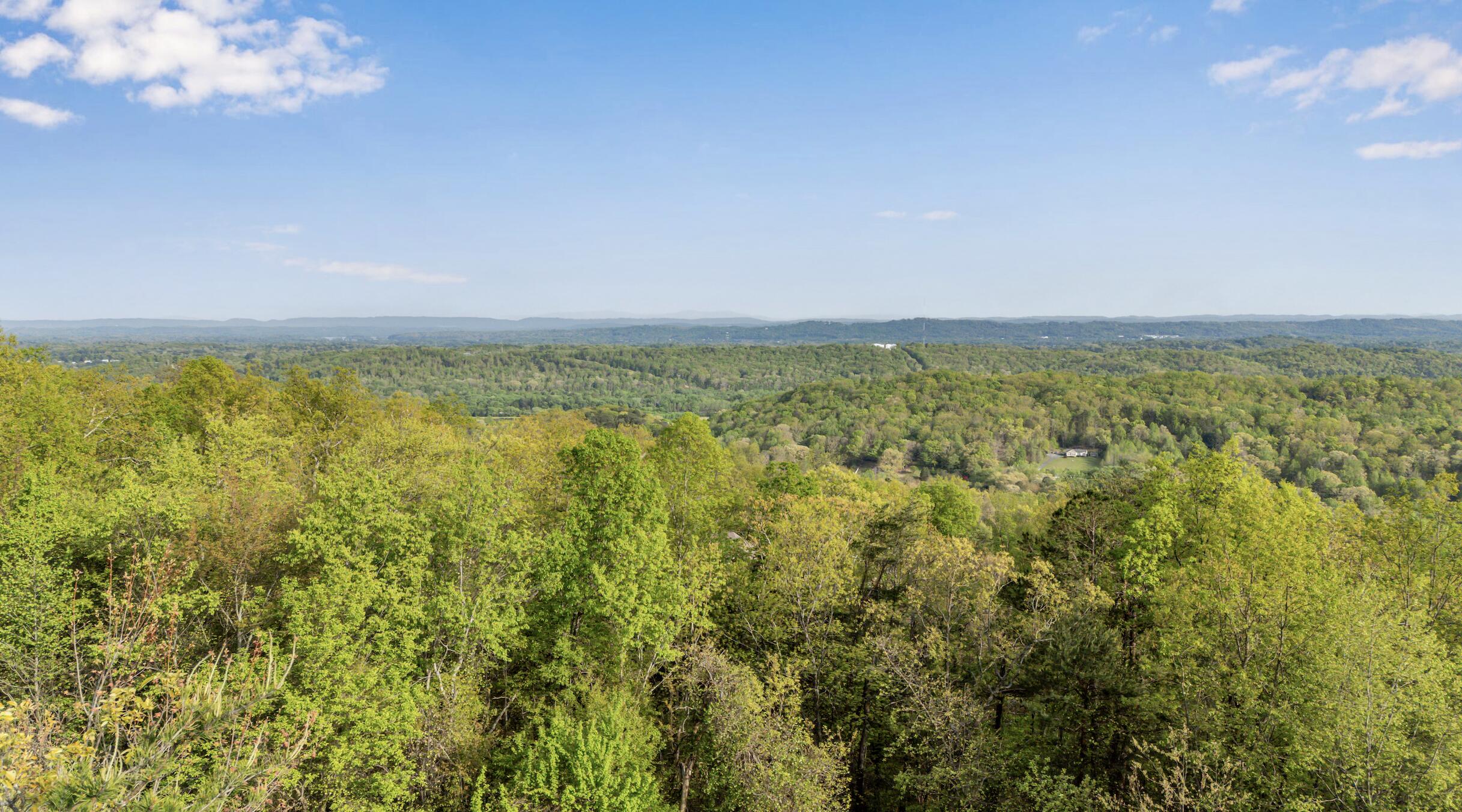 0 Bluff Ledge Trail, Lot 80