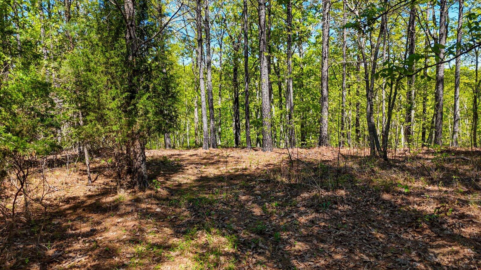 Lot 1 Rynes Road