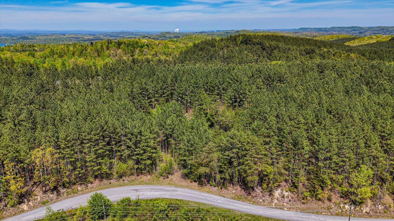 Lot 1 Rynes Road
