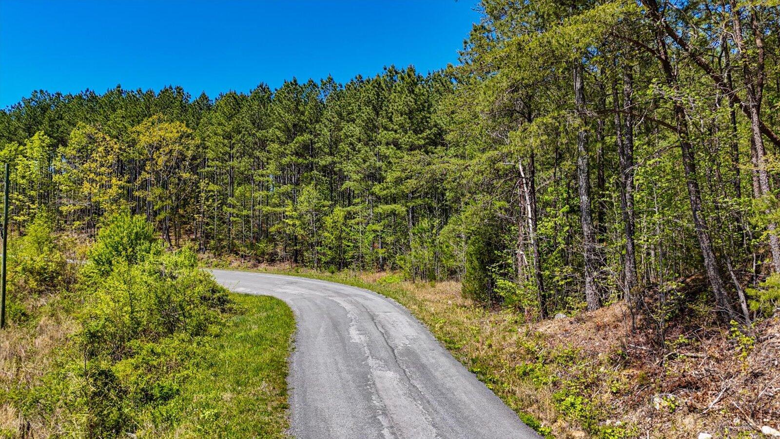 Lot 1 Rynes Road