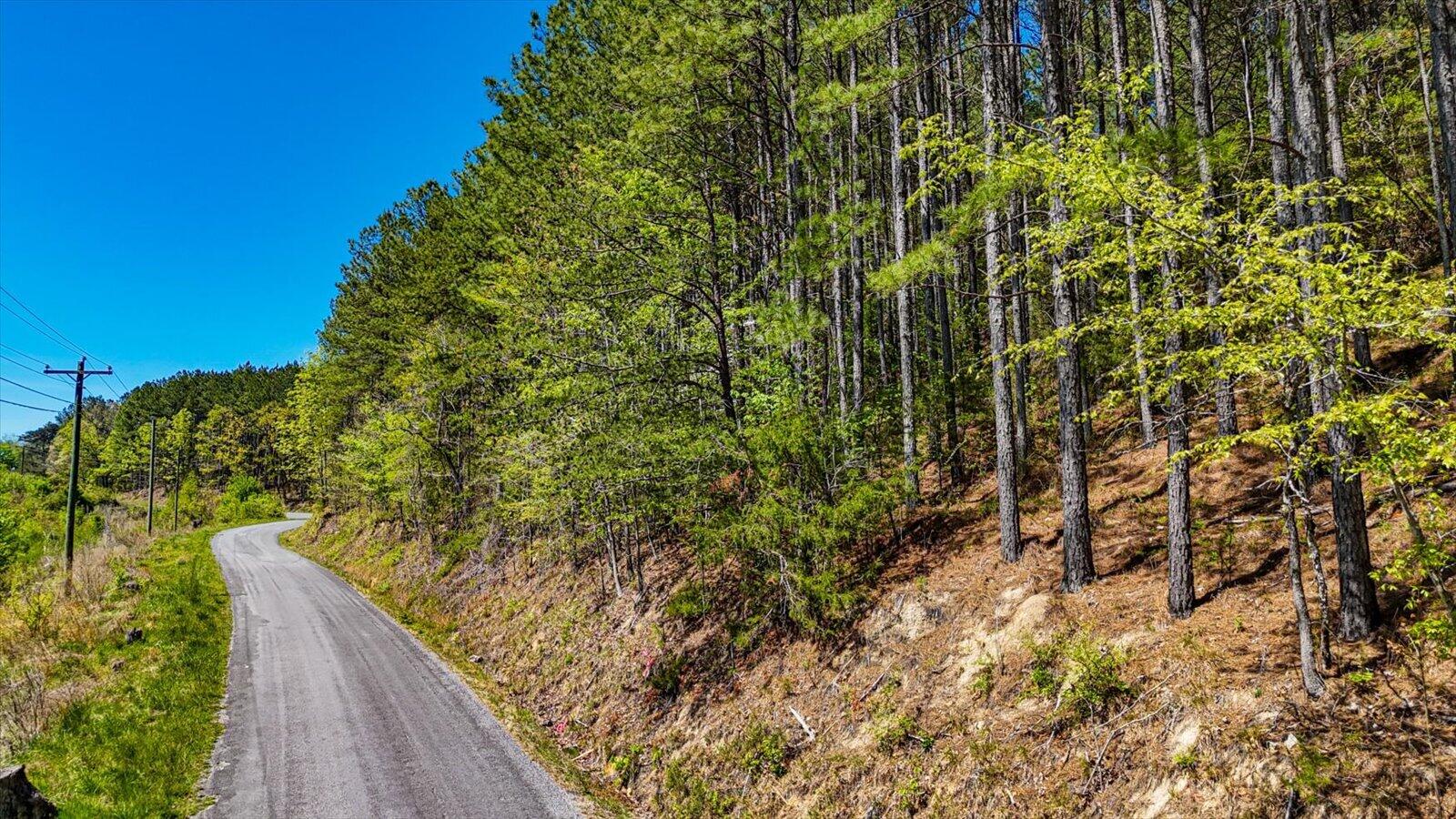 Lot 2 Rynes Road