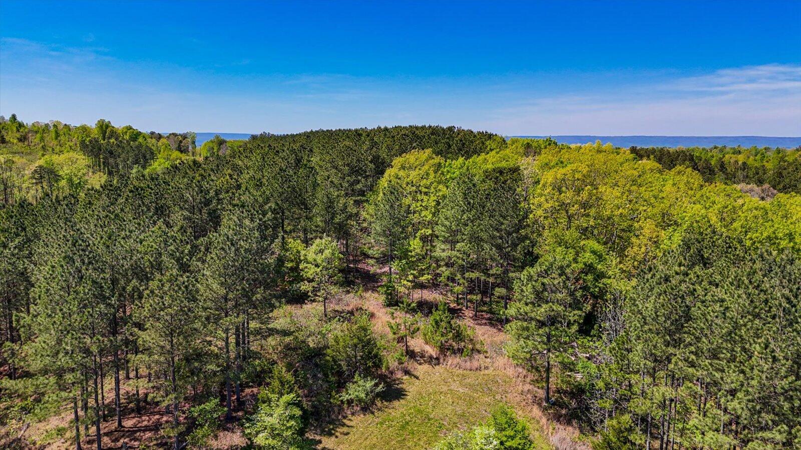 15.12 Acre Rynes Road