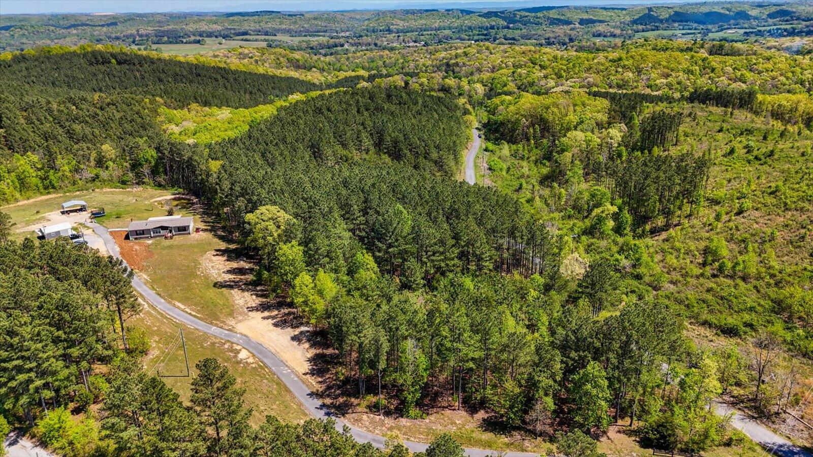 15.12 Acre Rynes Road