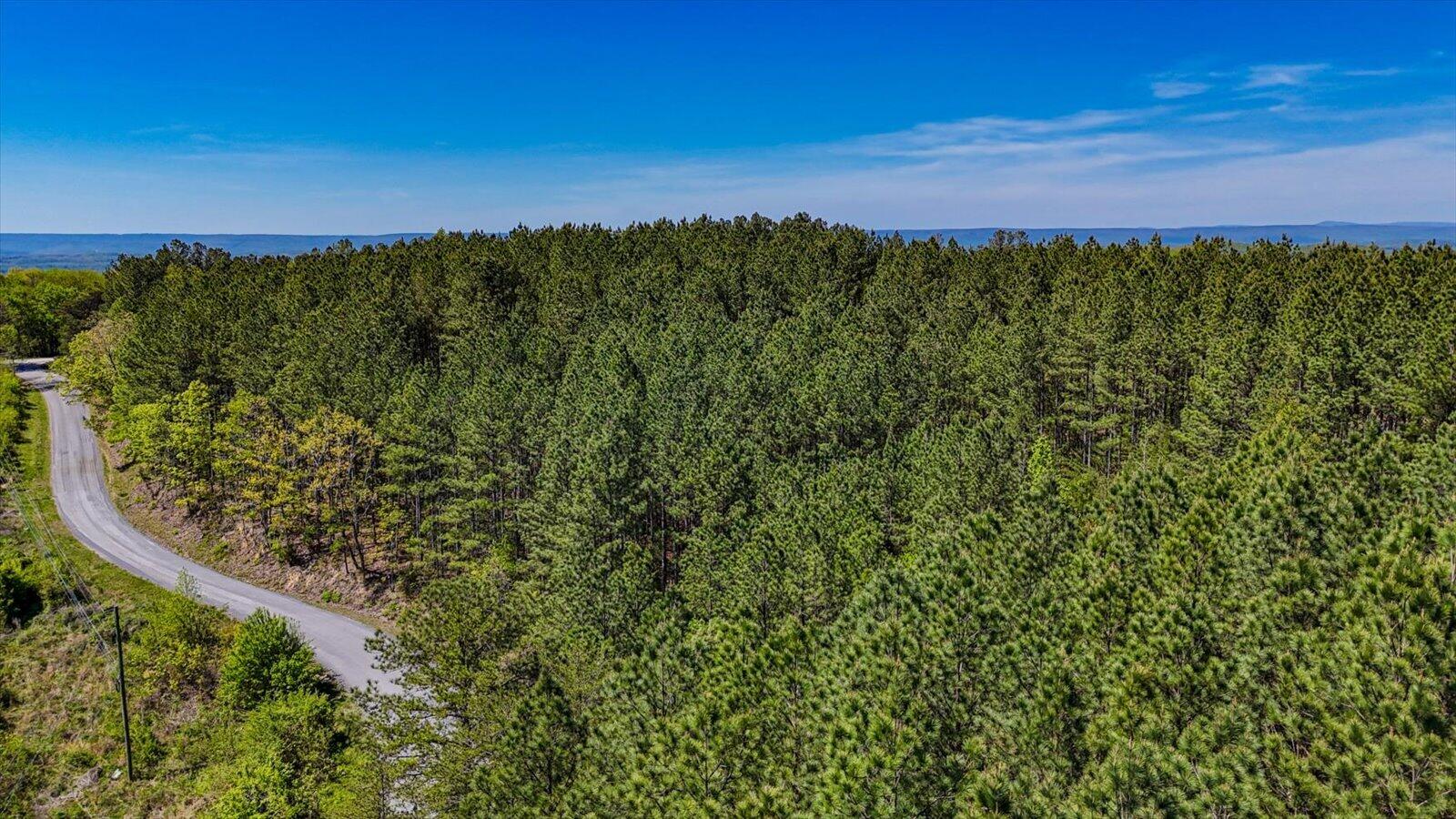 15.12 Acre Rynes Road
