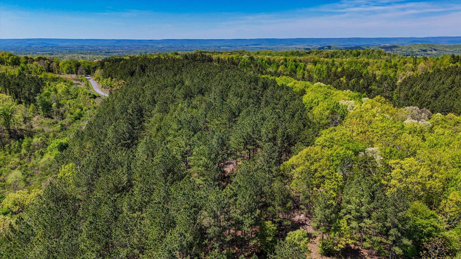 15.12 Acre Rynes Road
