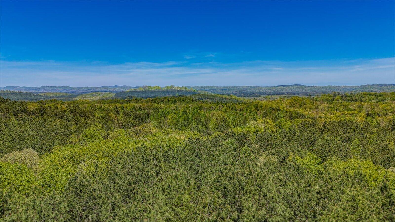 15.12 Acre Rynes Road